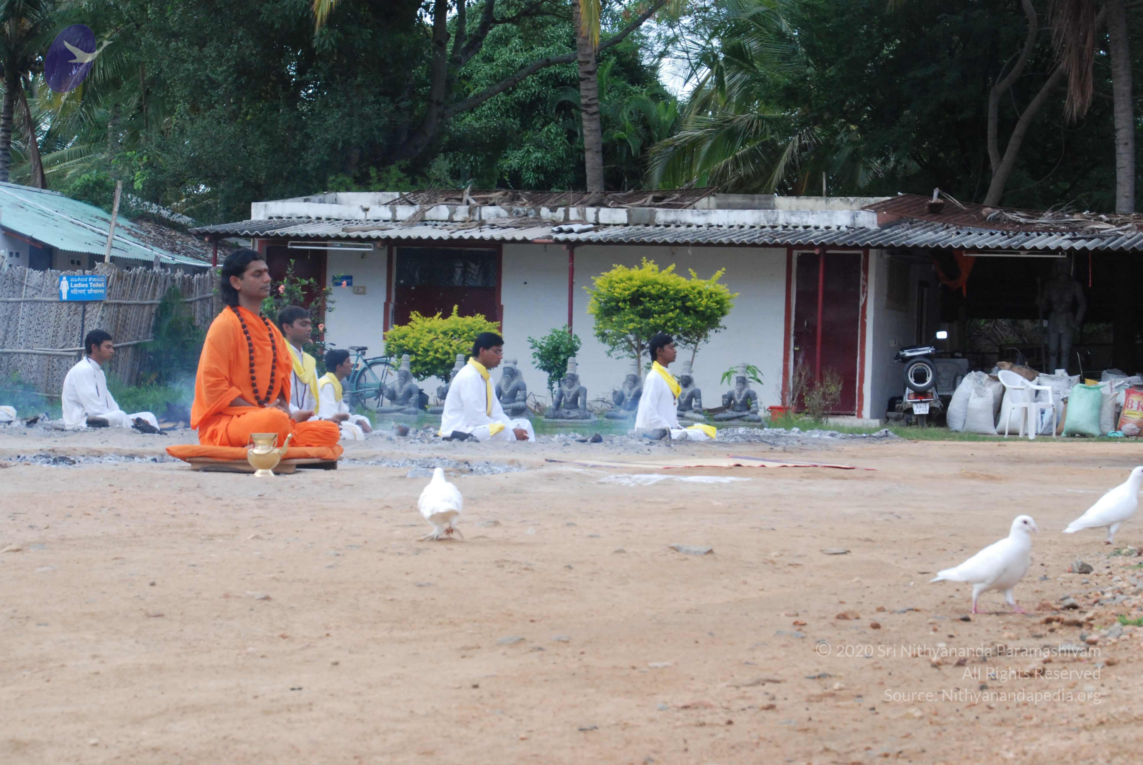 20170720_Photo_1003_DSC_4009_CMP_WM