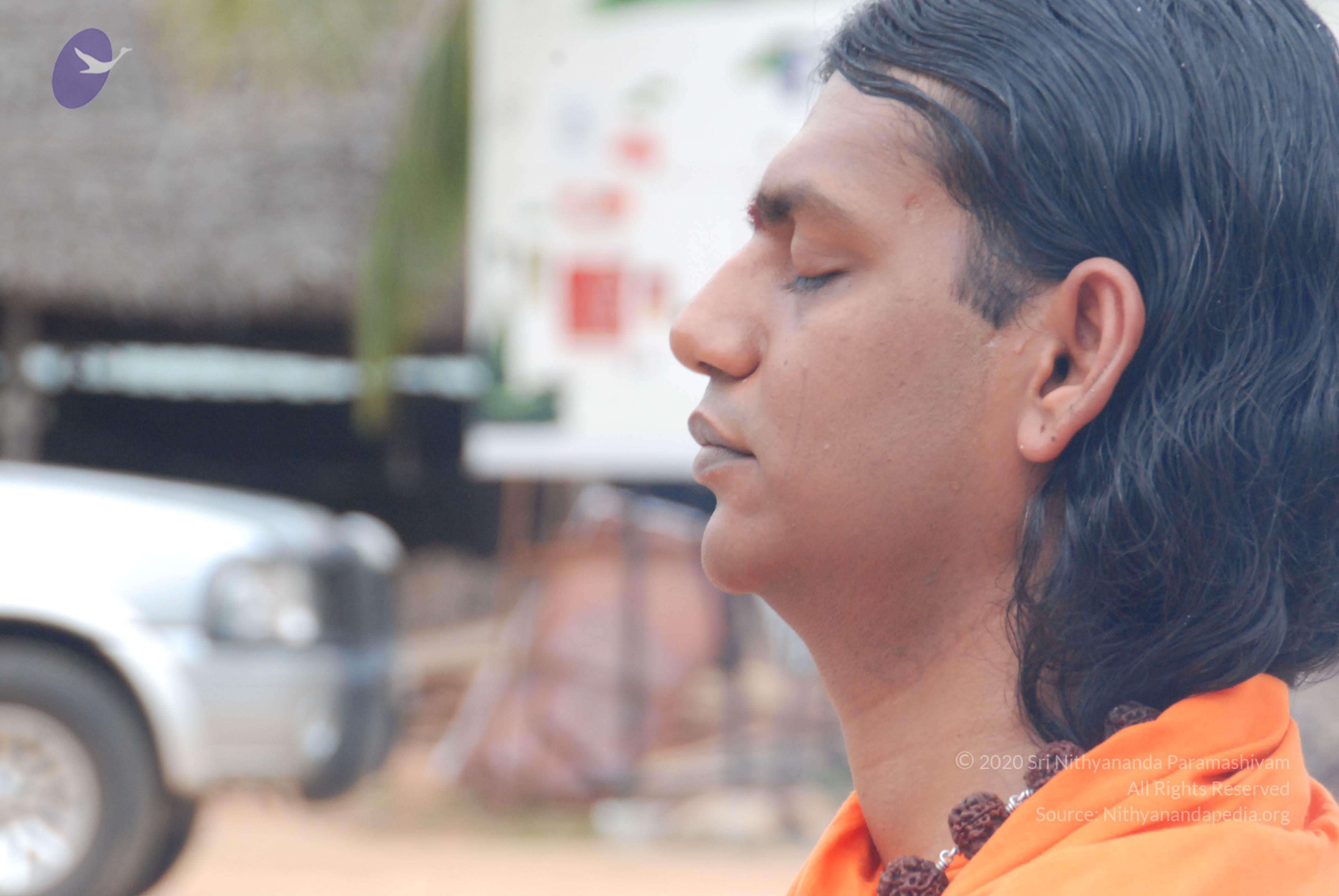 20170720_Photo_1007_DSC_3955_CMP_WM