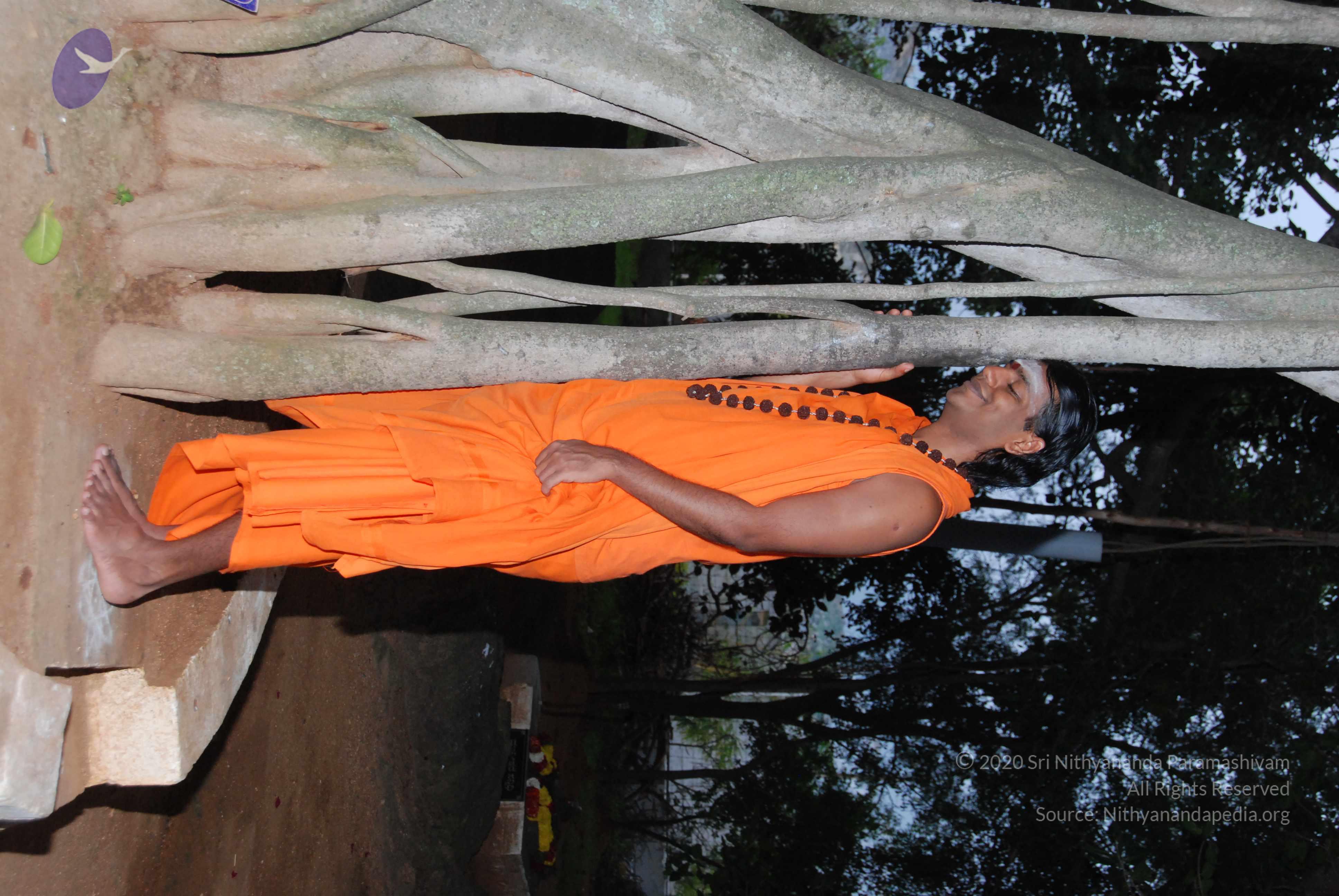 20170720_Photo_1013_DSC_3814_CMP_WM