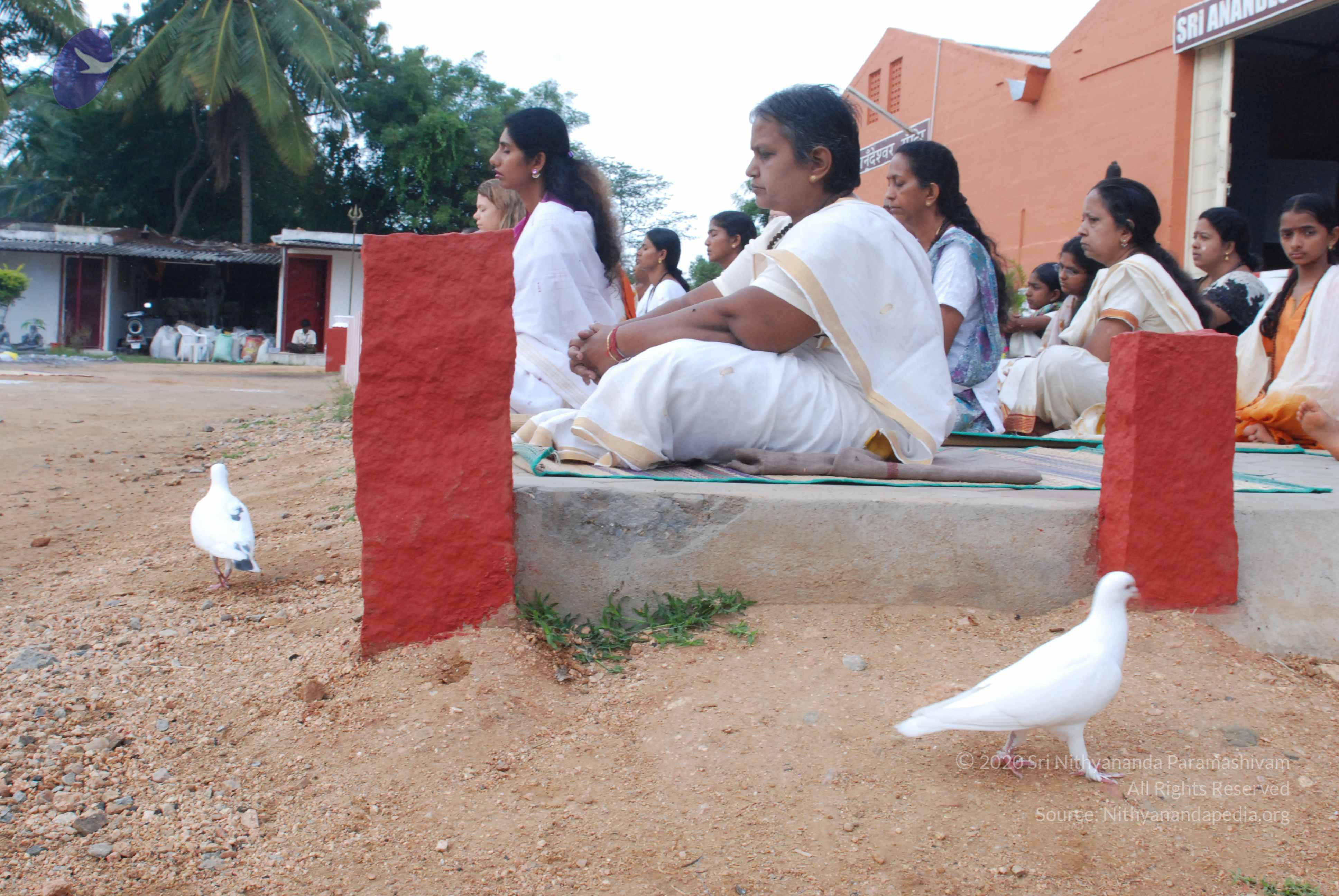 20170720_Photo_1017_DSC_4004_CMP_WM