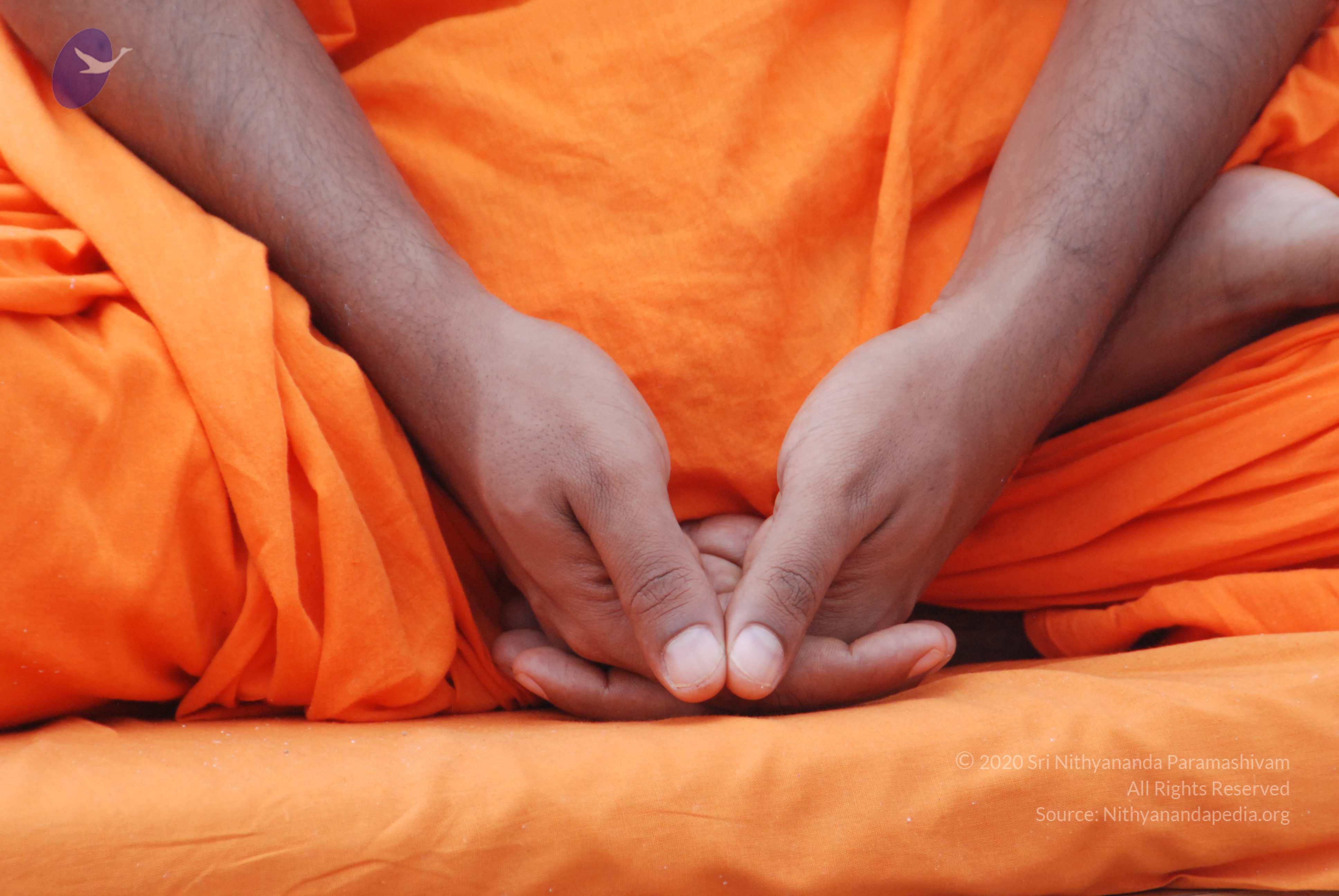 20170720_Photo_1021_DSC_4066_CMP_WM