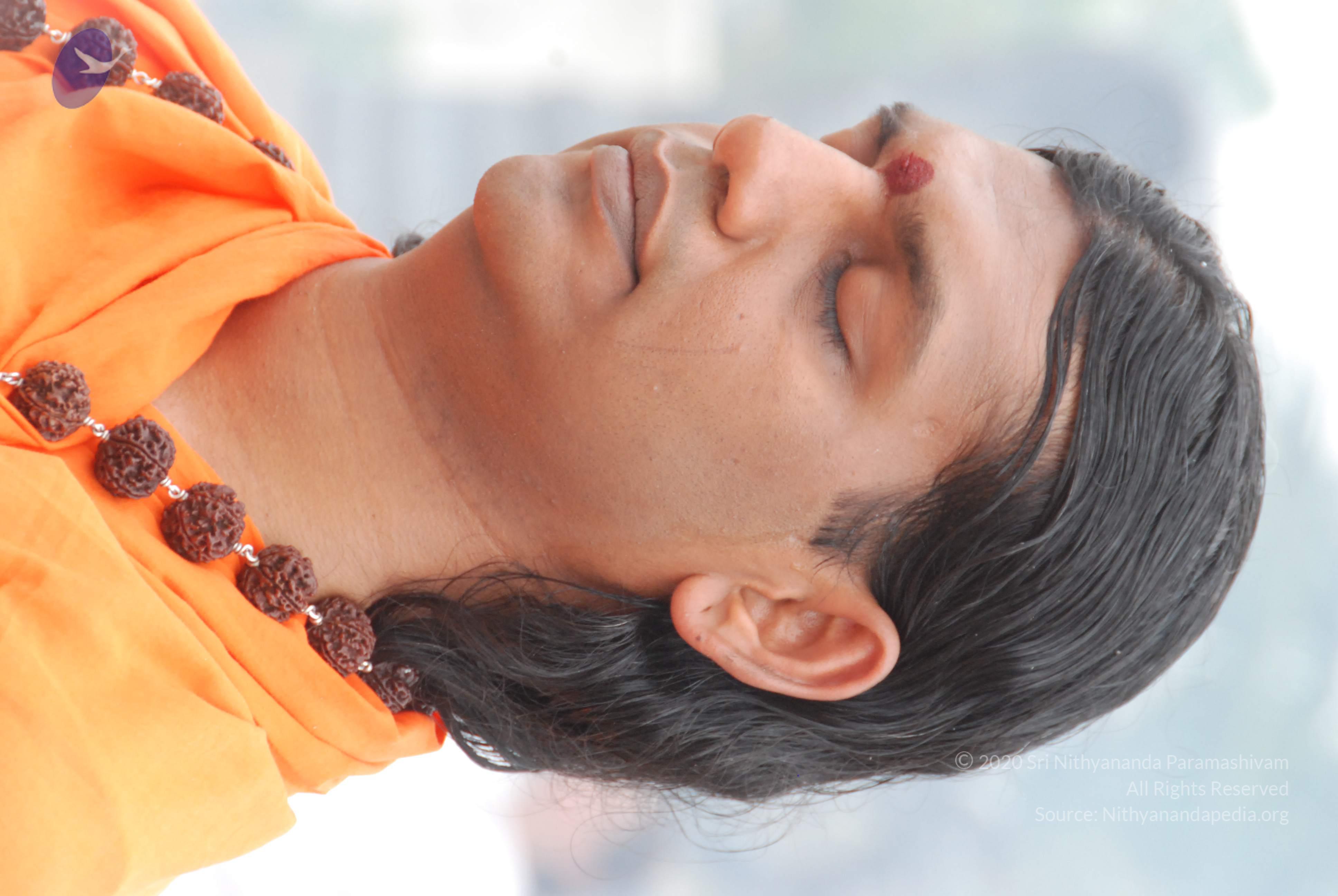 20170720_Photo_1025_DSC_3944_CMP_WM