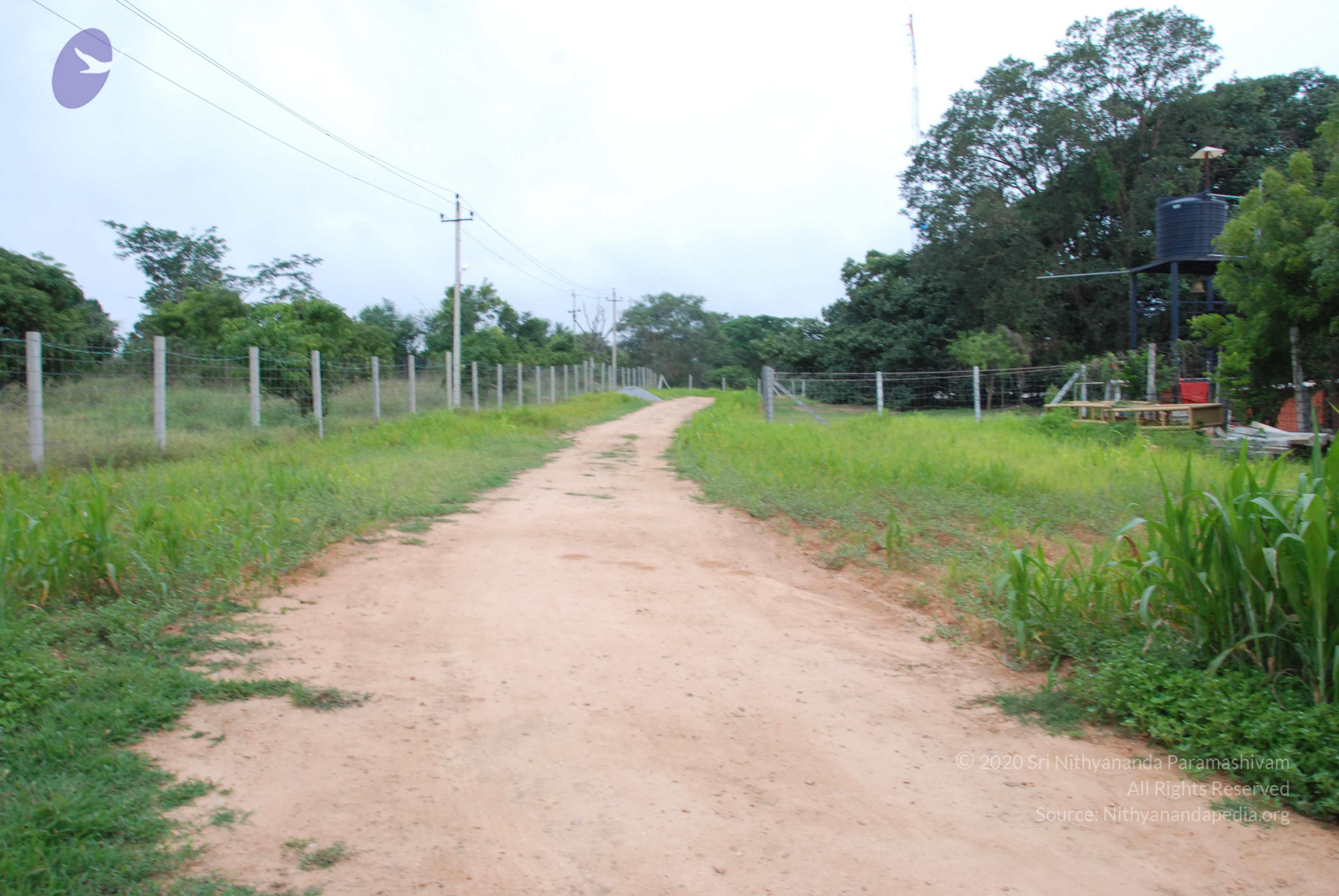 20170720_Photo_1026_DSC_3898_CMP_WM