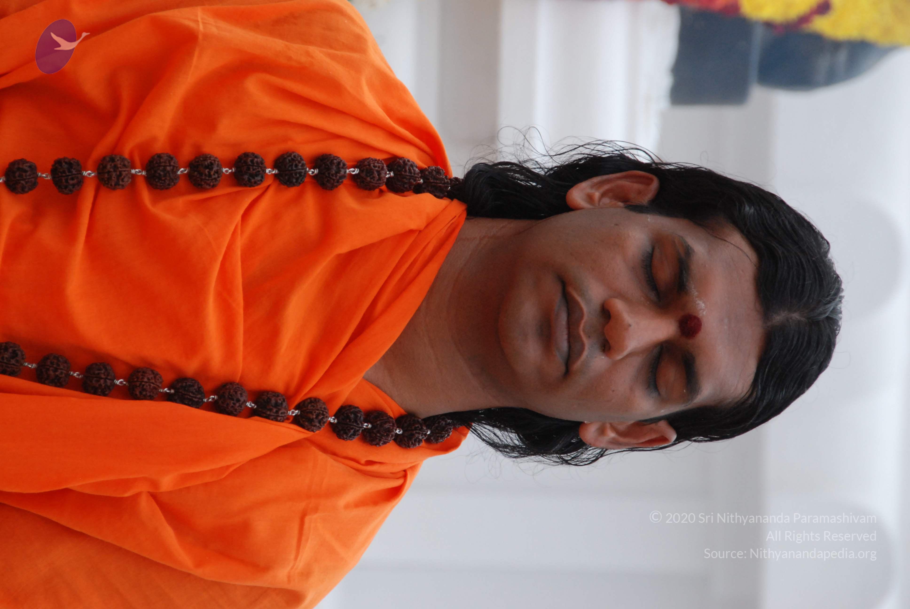 20170720_Photo_1029_DSC_3884_CMP_WM