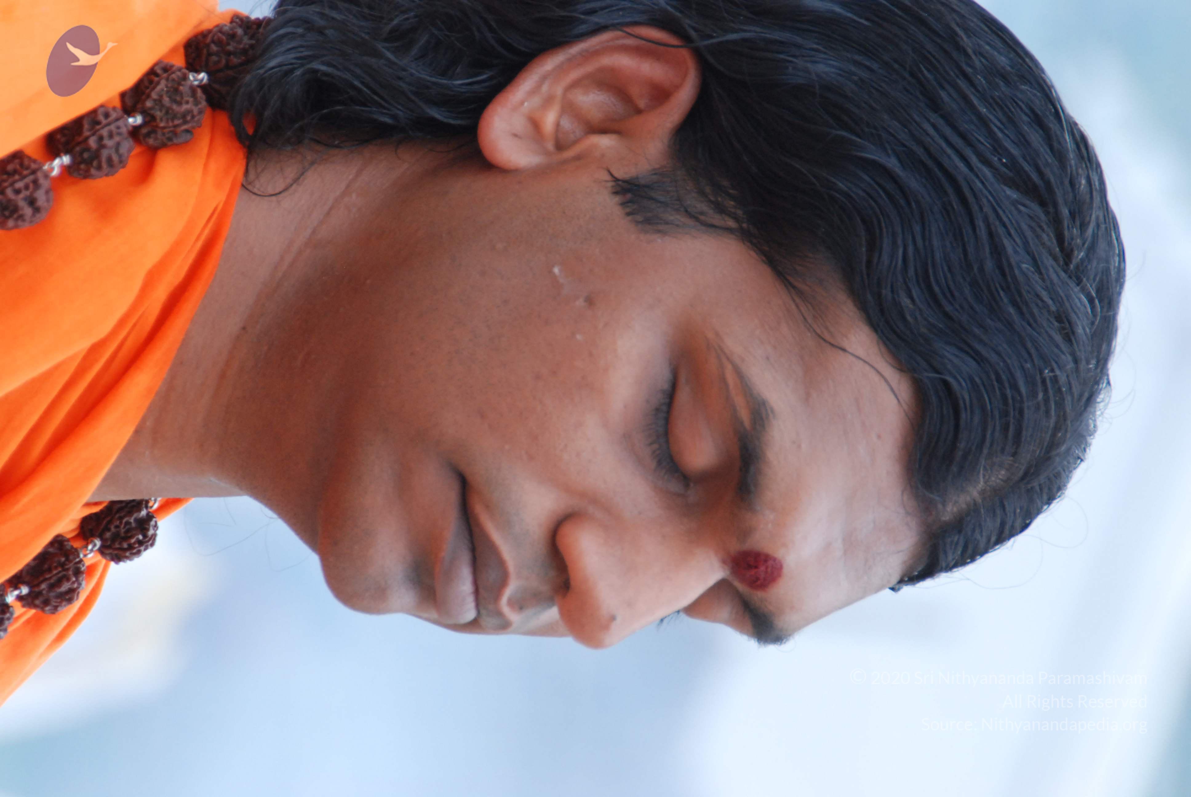 20170720_Photo_1032_DSC_3923_CMP_WM