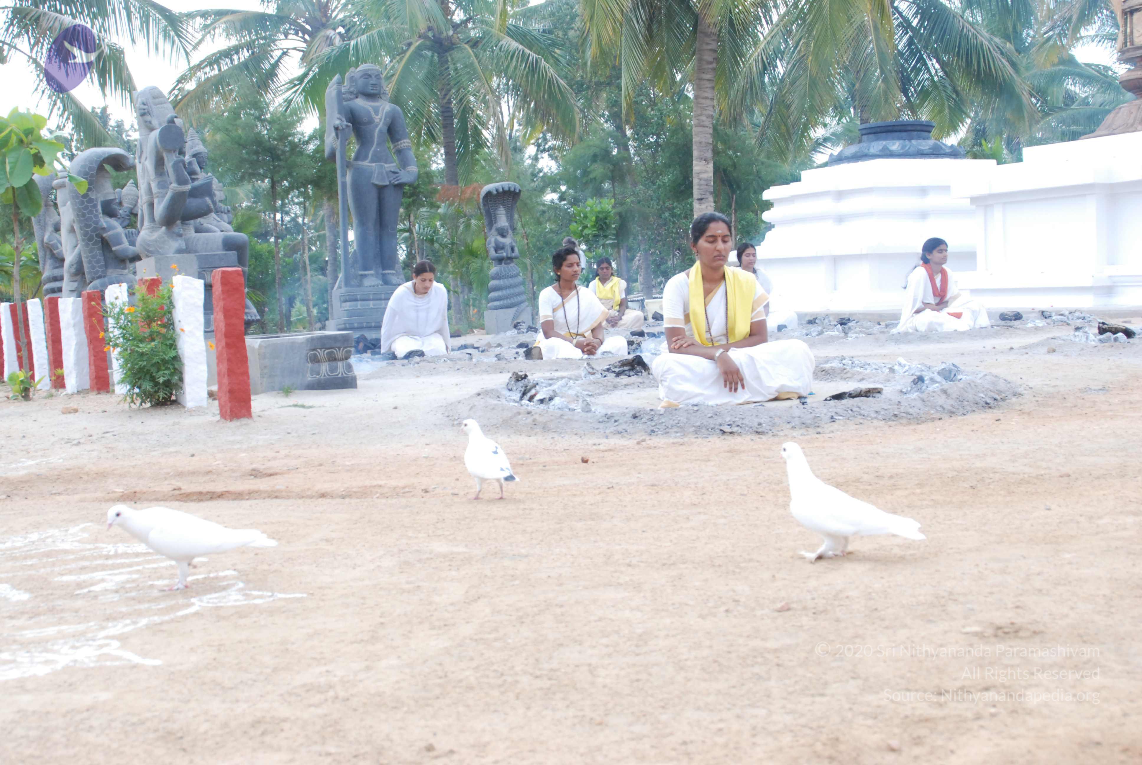 20170720_Photo_1034_DSC_4001_CMP_WM