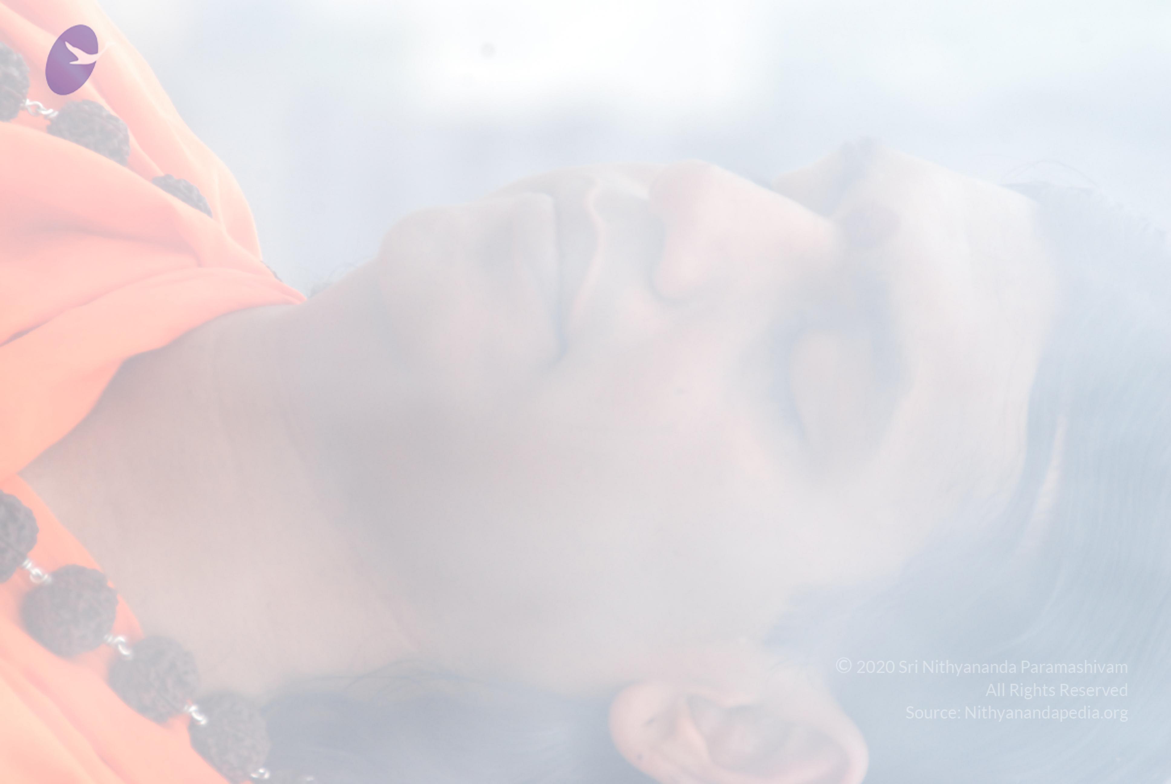 20170720_Photo_1036_DSC_3941_CMP_WM