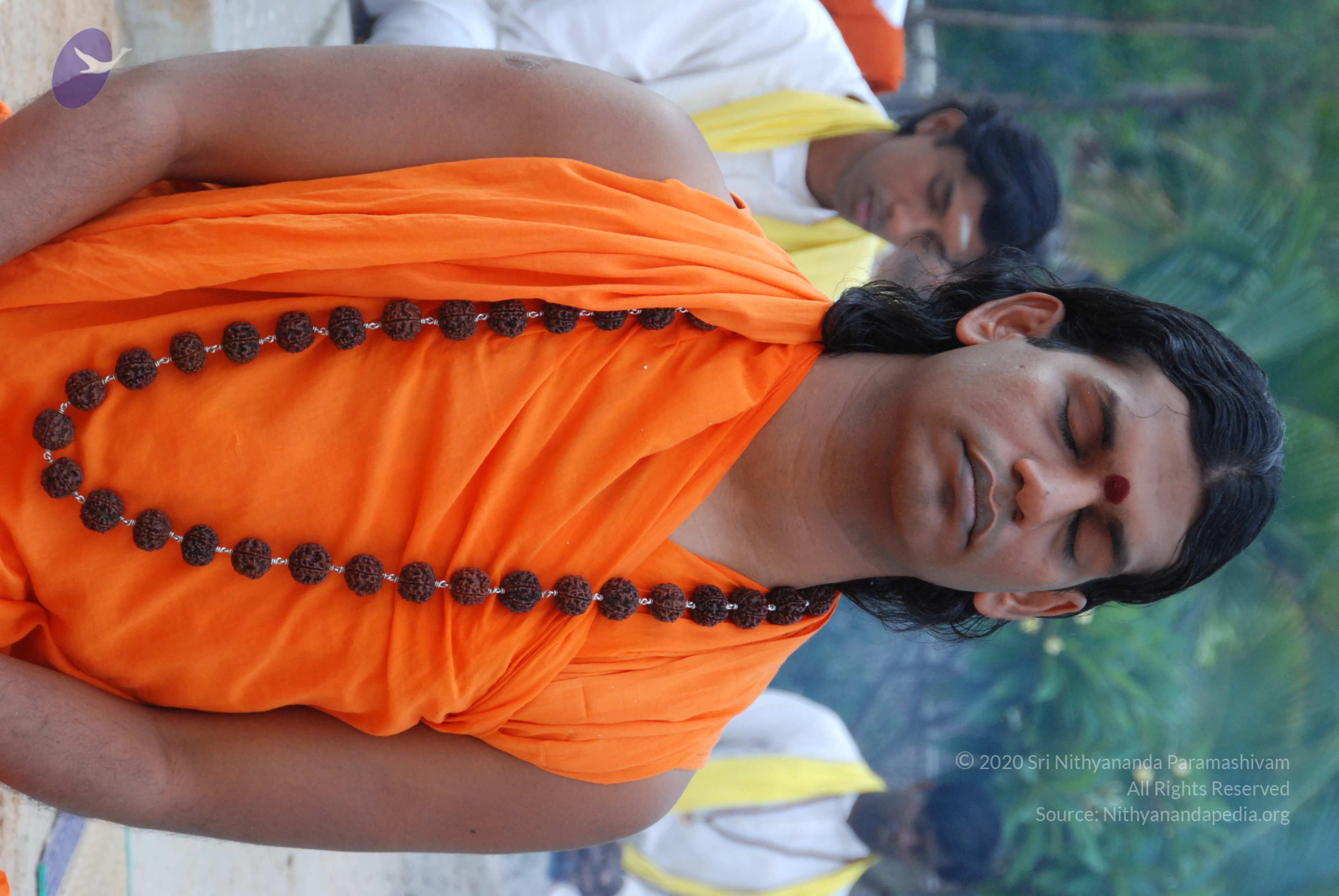 20170720_Photo_1039_DSC_4063_CMP_WM