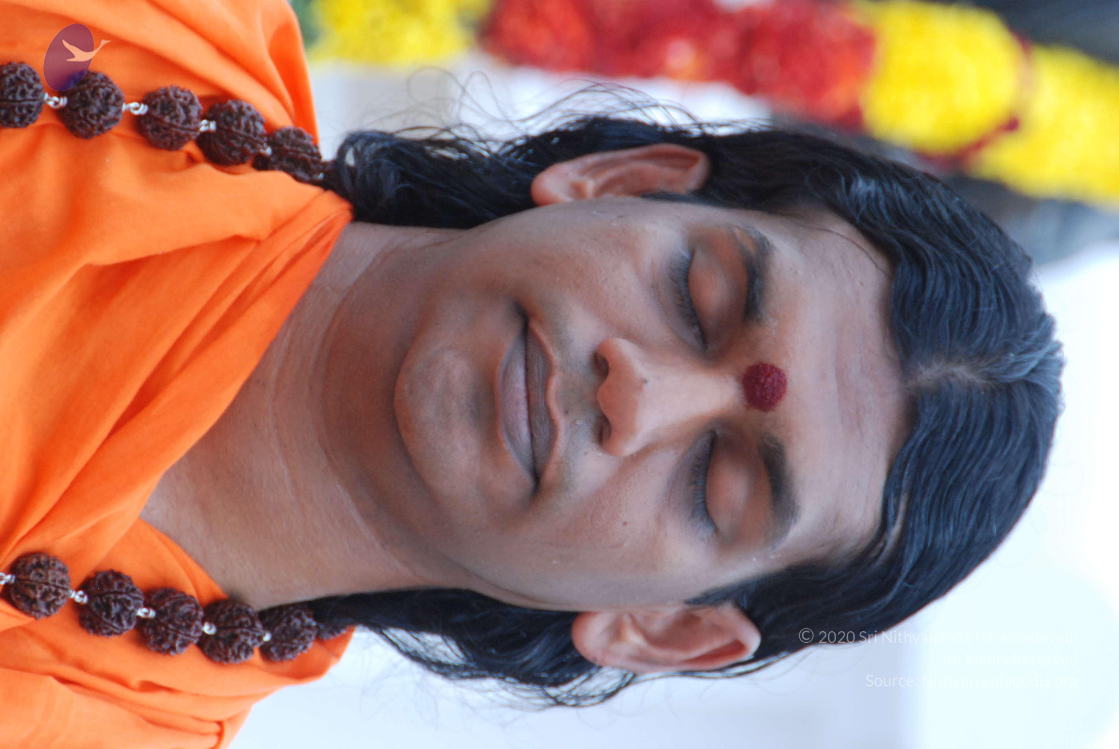 20170720_Photo_1047_DSC_3919_CMP_WM