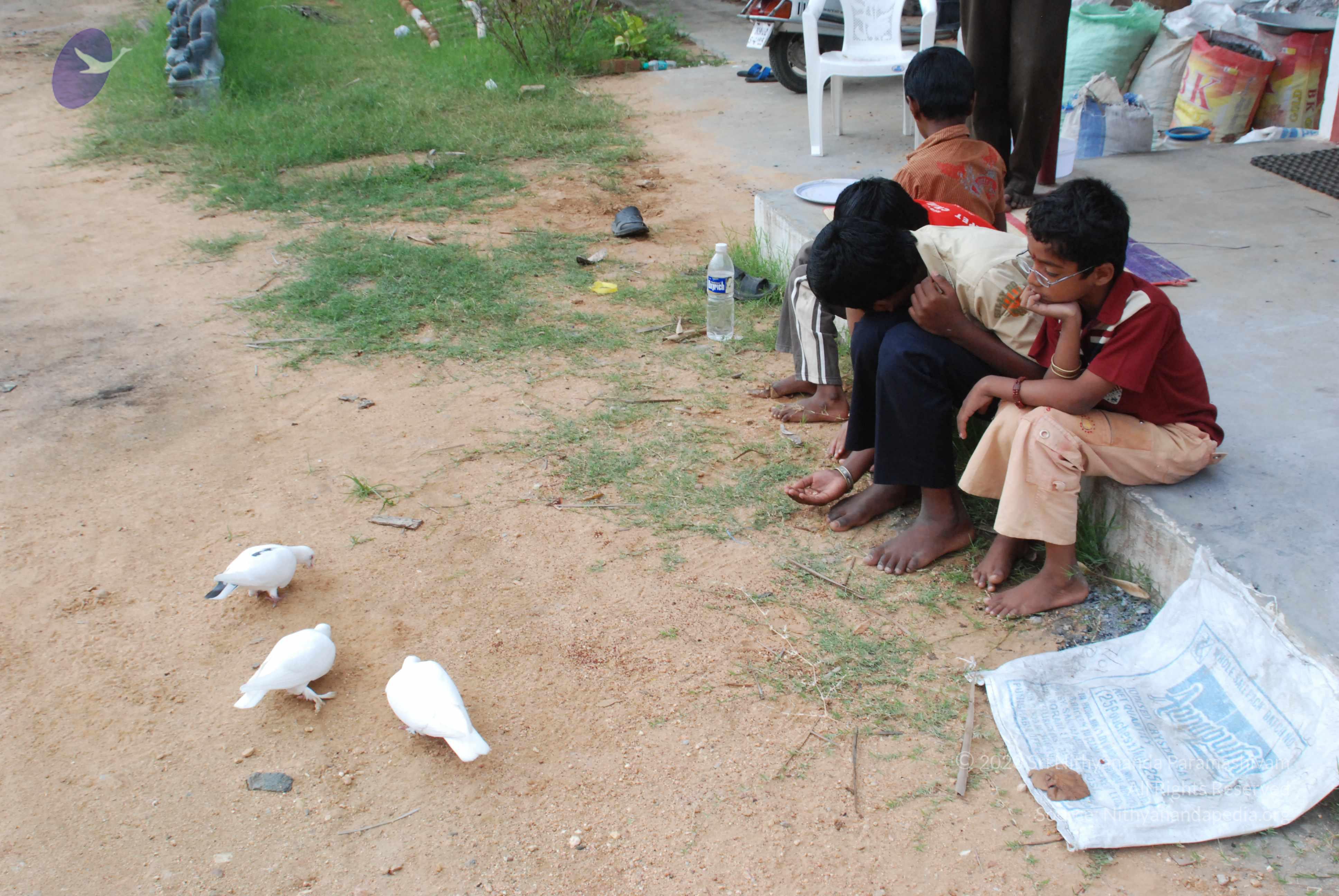 20170720_Photo_1051_DSC_4072_CMP_WM