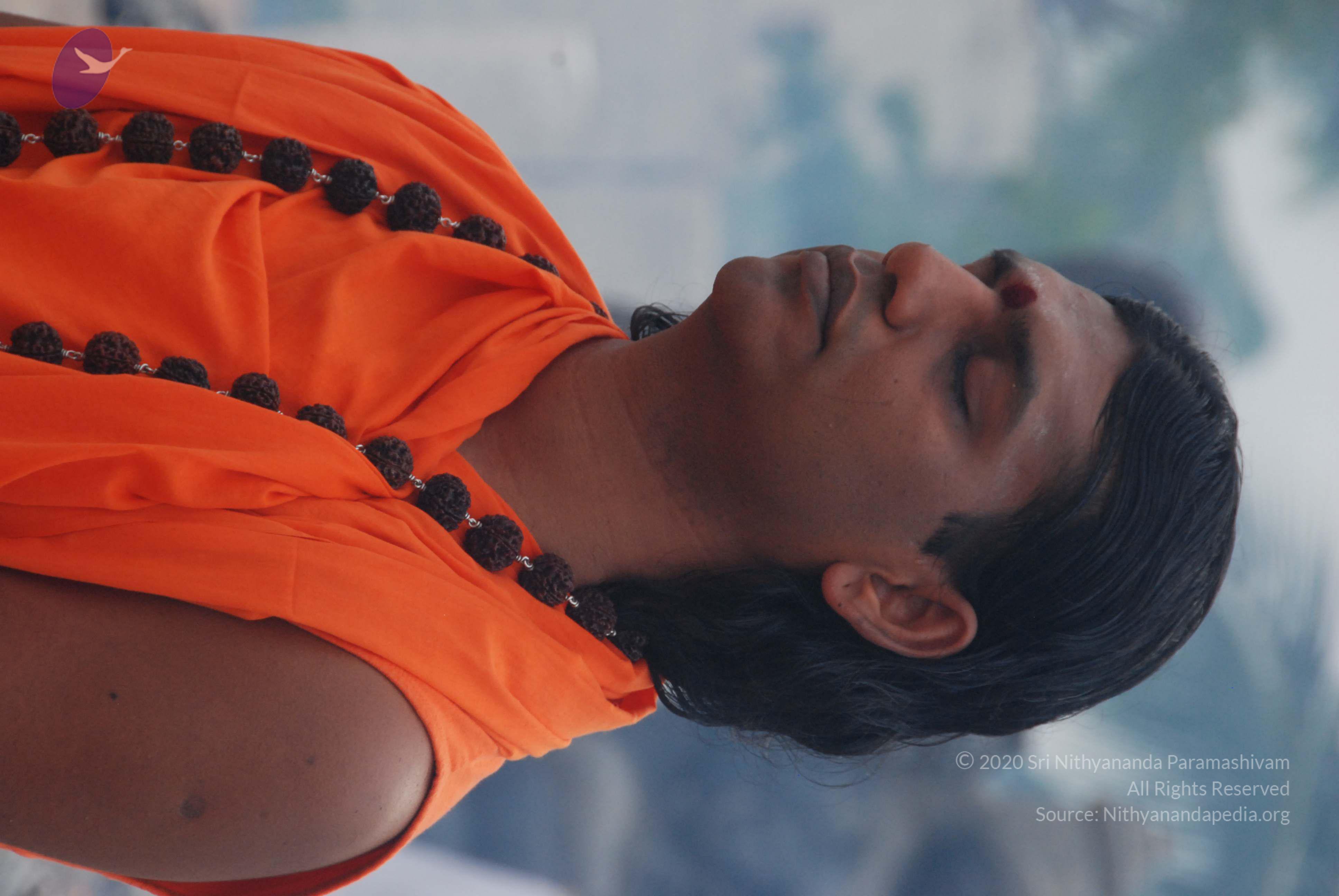 20170720_Photo_1052_DSC_3844_CMP_WM