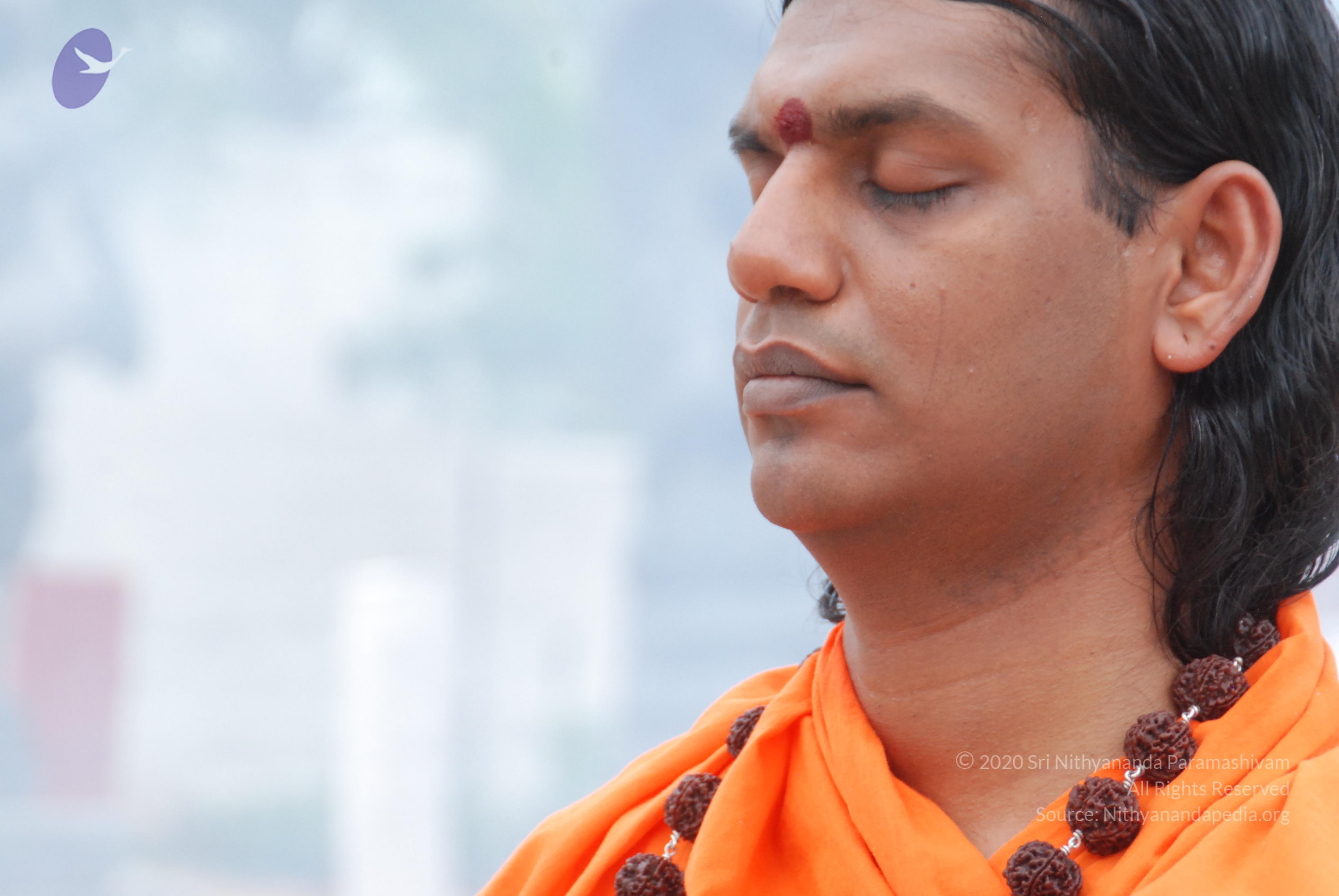 20170720_Photo_1055_DSC_3950_CMP_WM