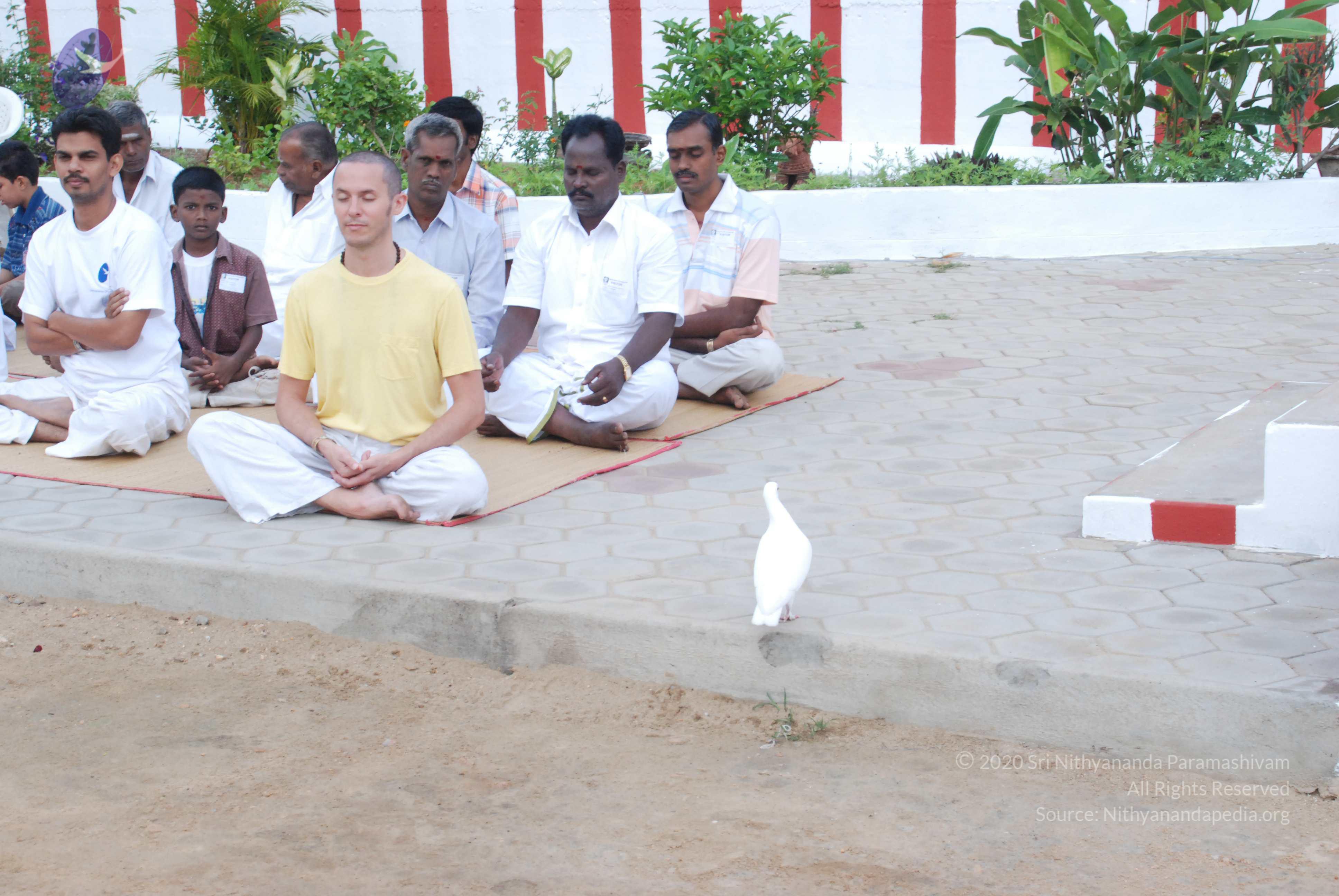 20170720_Photo_1057_DSC_4010_CMP_WM