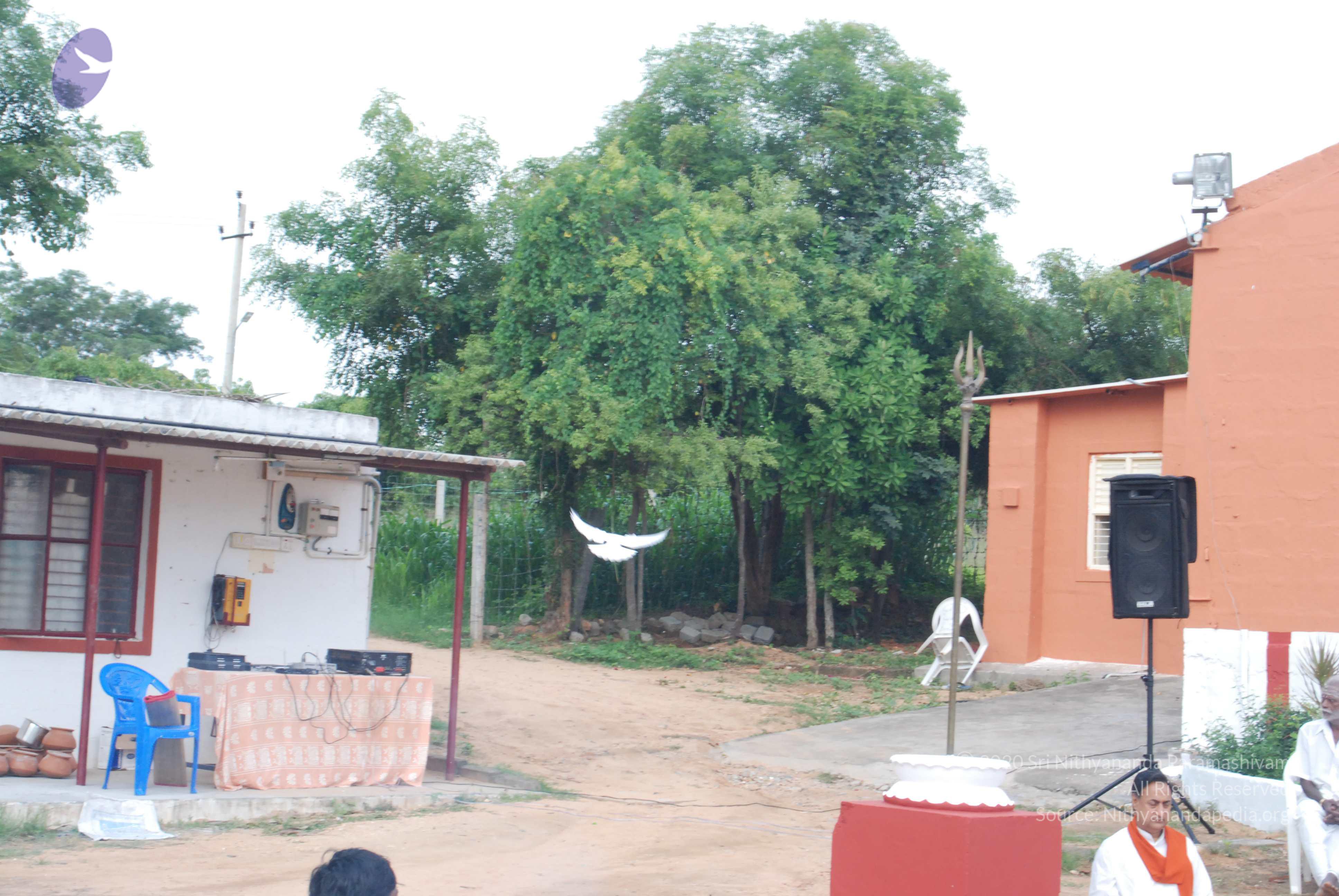 20170720_Photo_1058_DSC_4027_CMP_WM