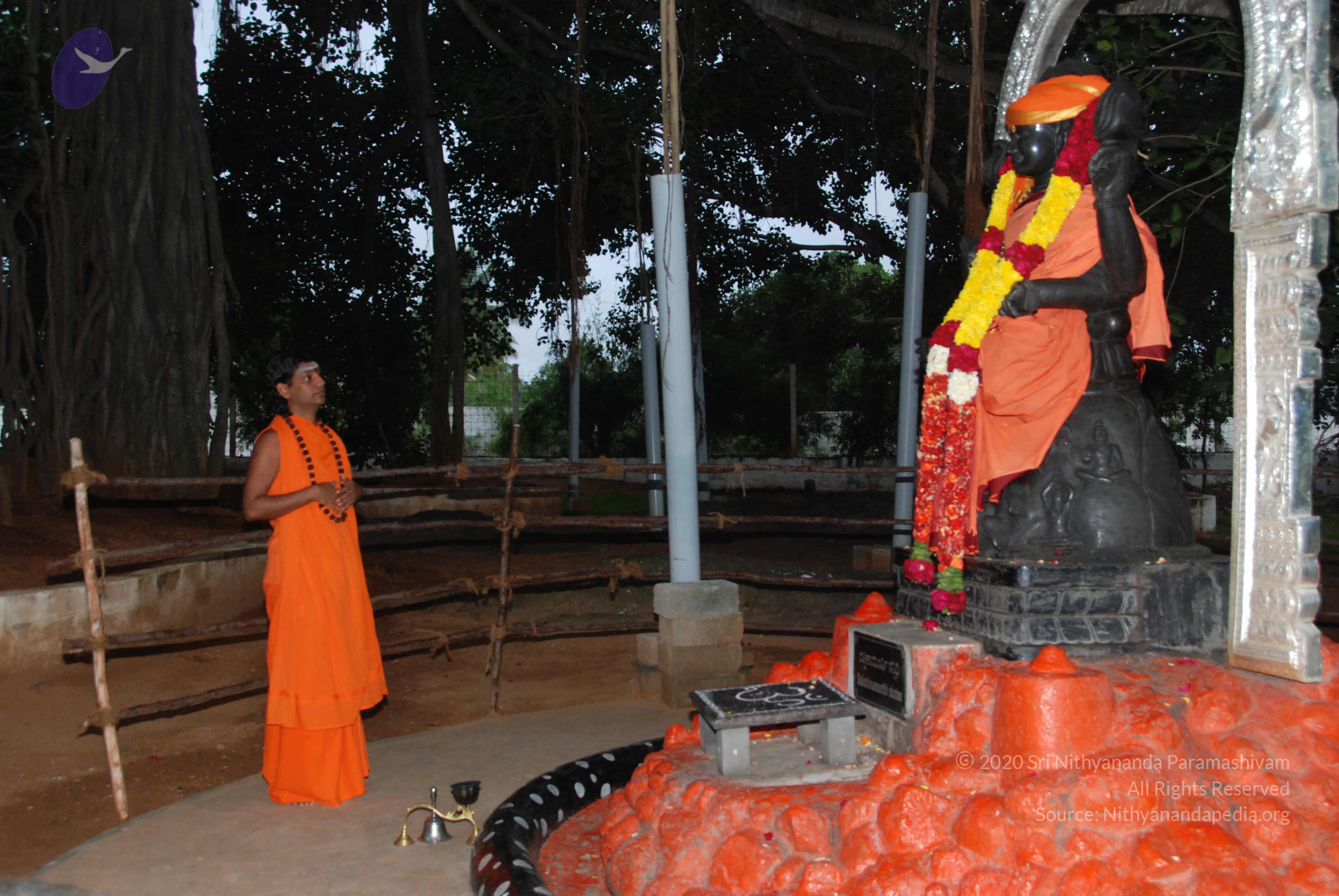 20170720_Photo_1059_DSC_3811_CMP_WM