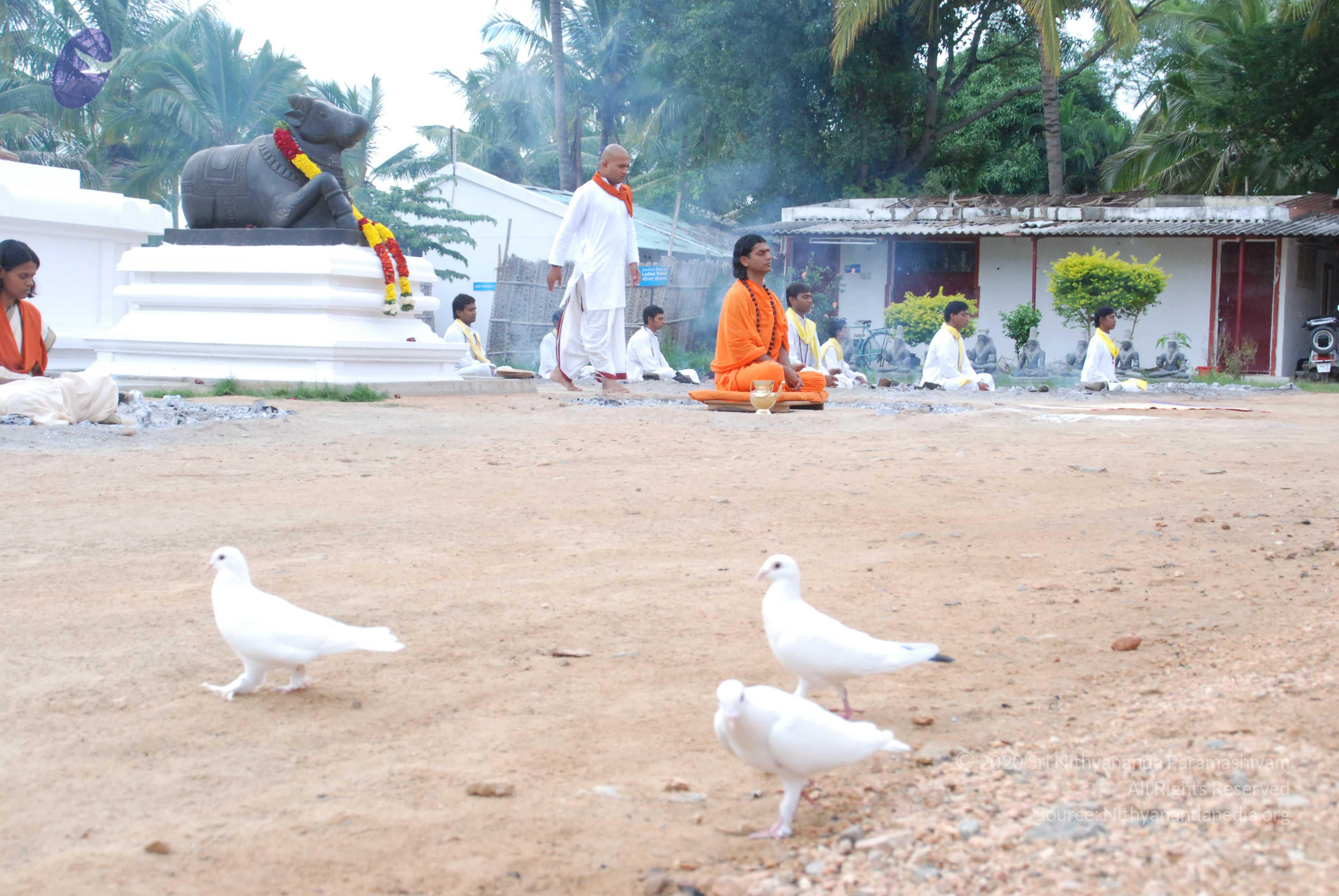 20170720_Photo_1061_DSC_3998_CMP_WM