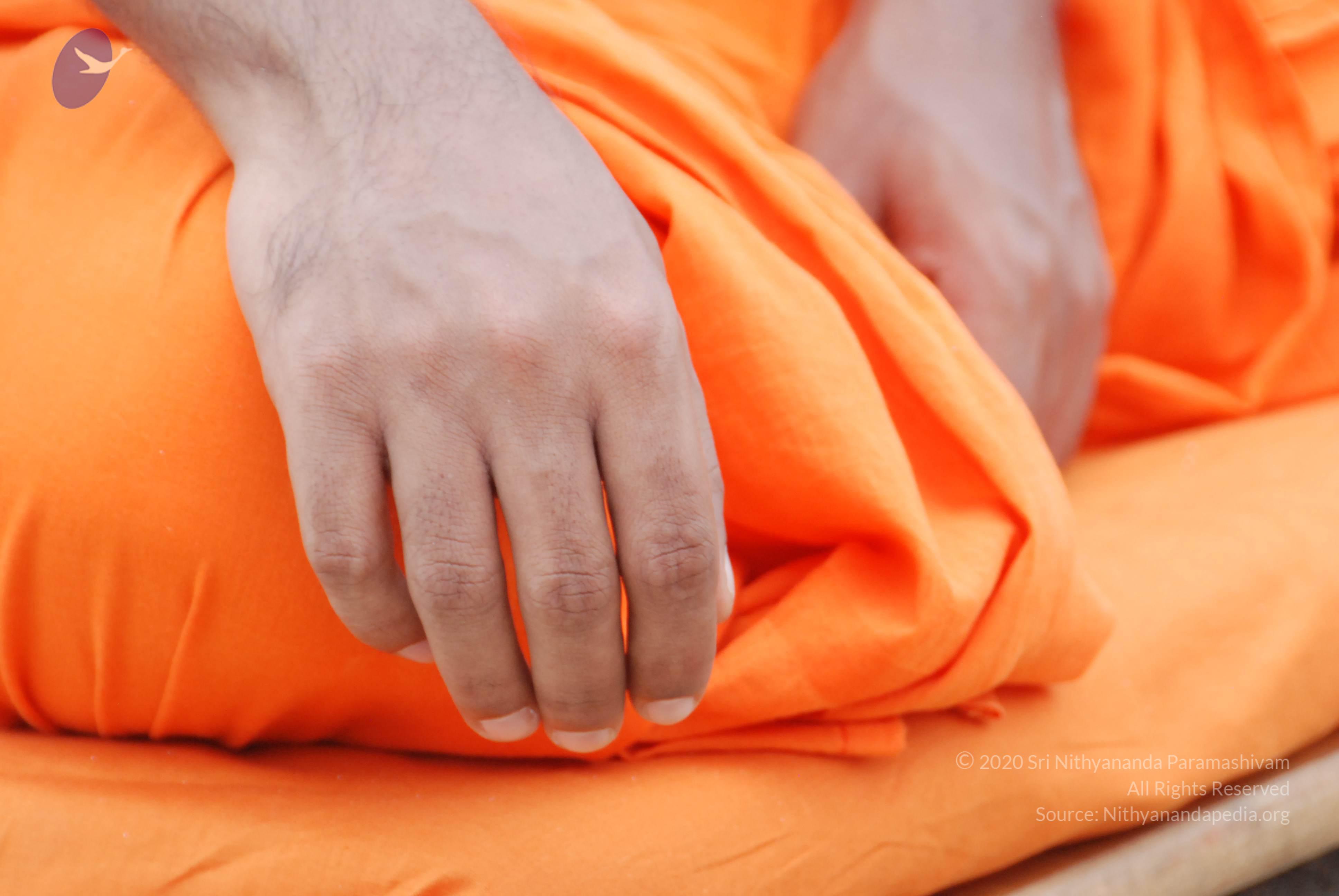 20170720_Photo_1065_DSC_3935_CMP_WM