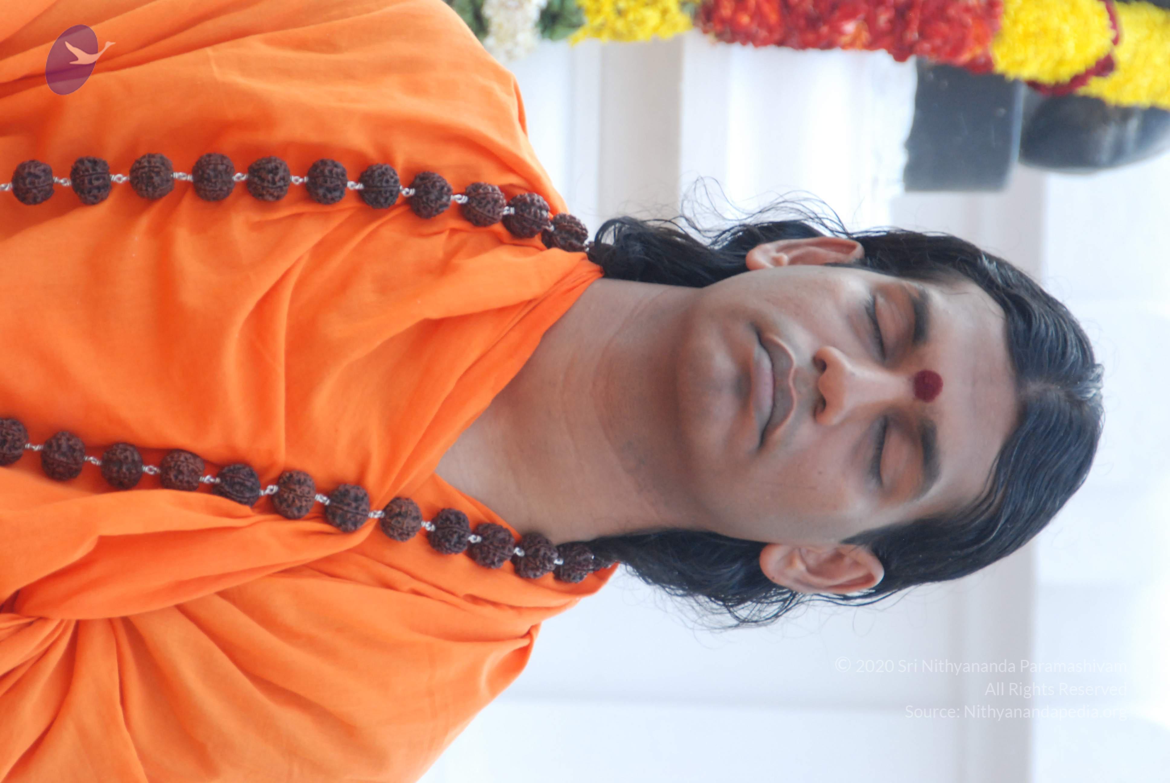 20170720_Photo_1067_DSC_4017_CMP_WM