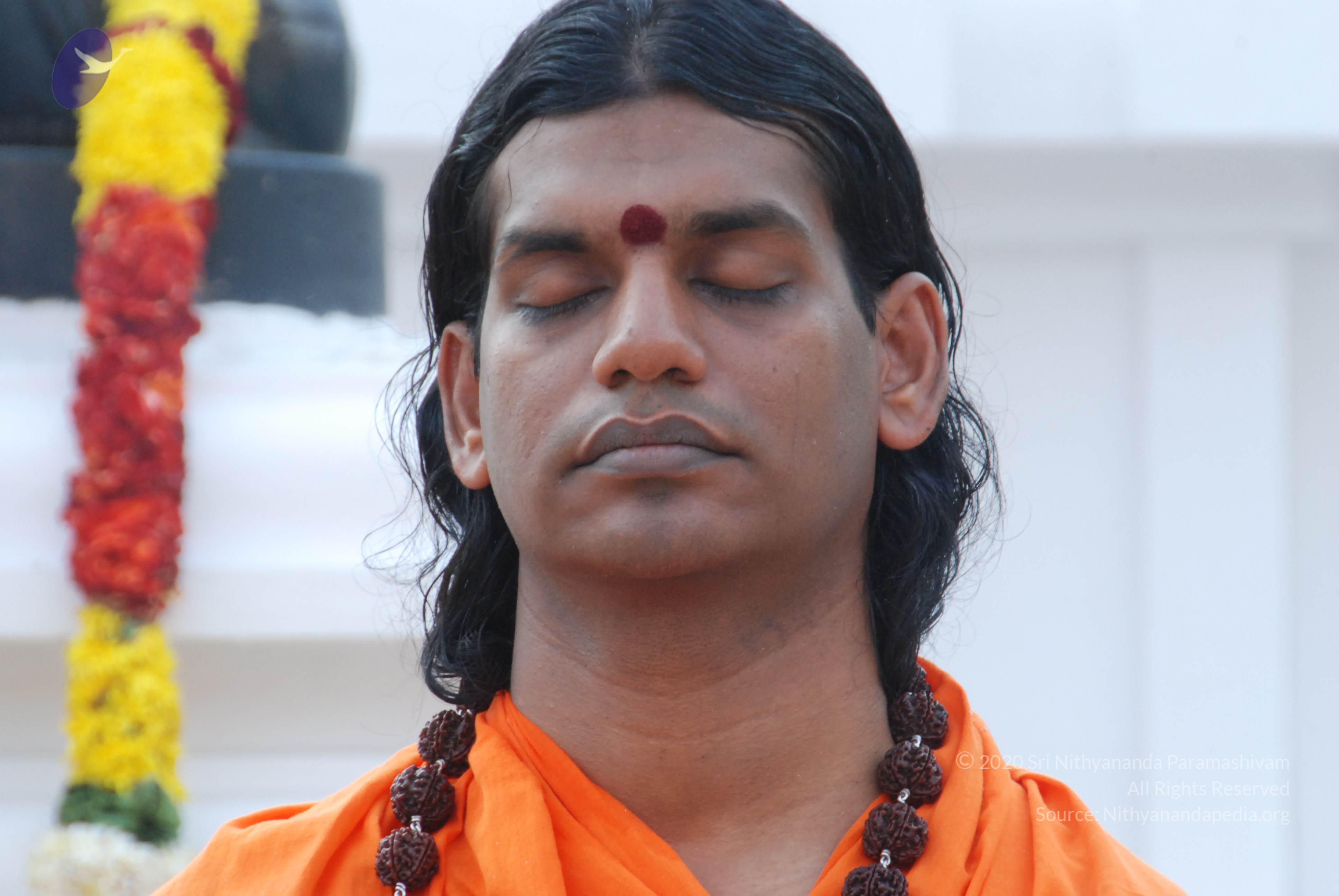 20170720_Photo_1070_DSC_4020_CMP_WM