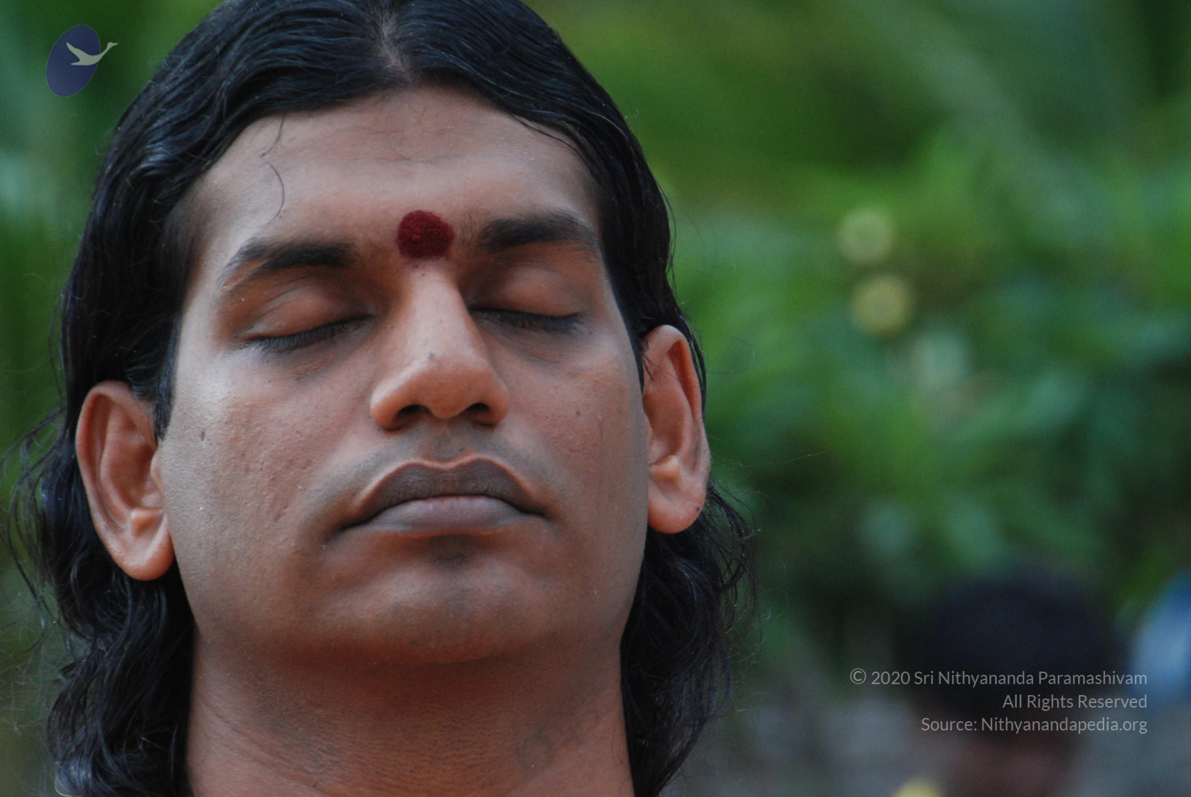 20170720_Photo_1074_DSC_4069_CMP_WM