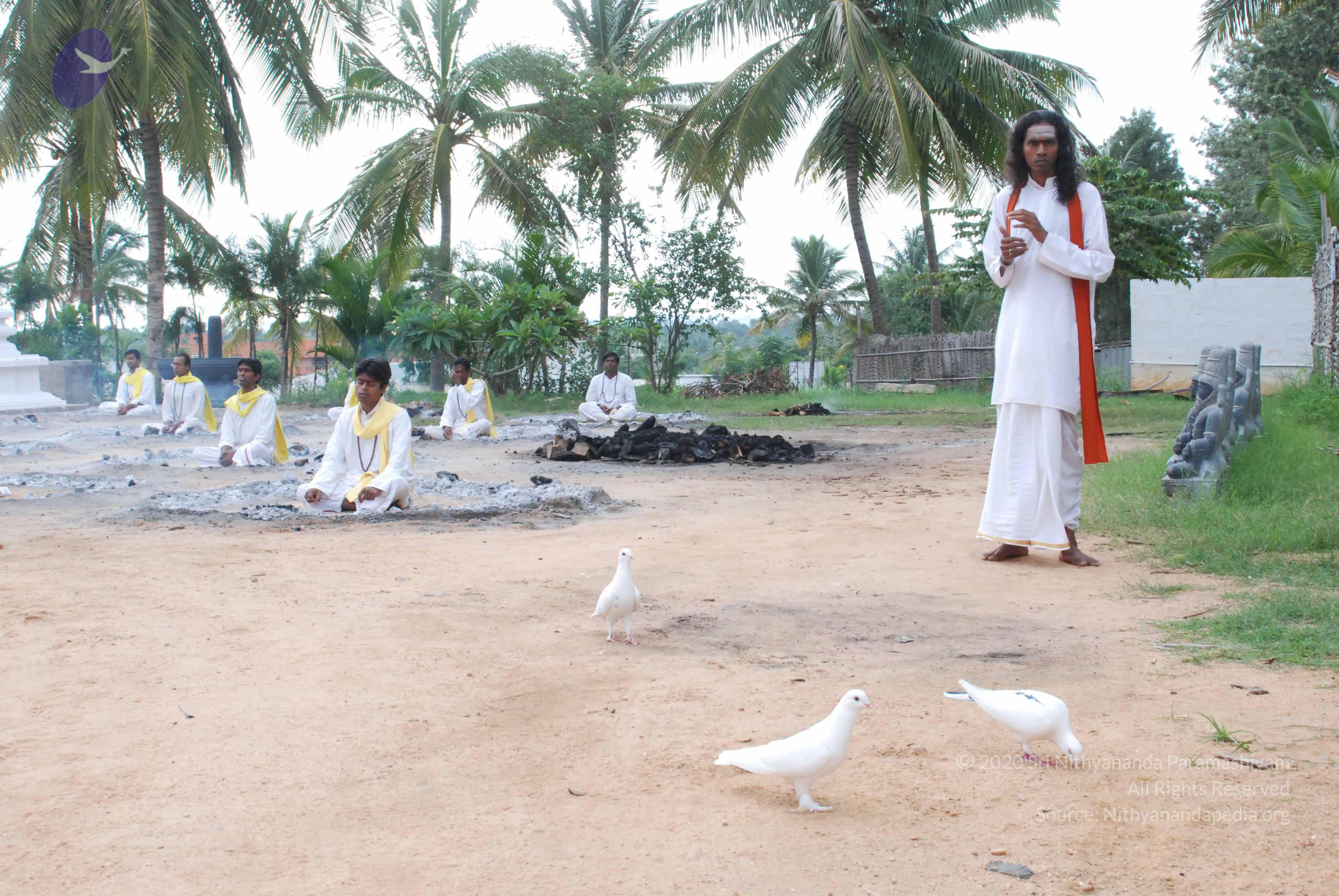 20170720_Photo_1077_DSC_4078_CMP_WM