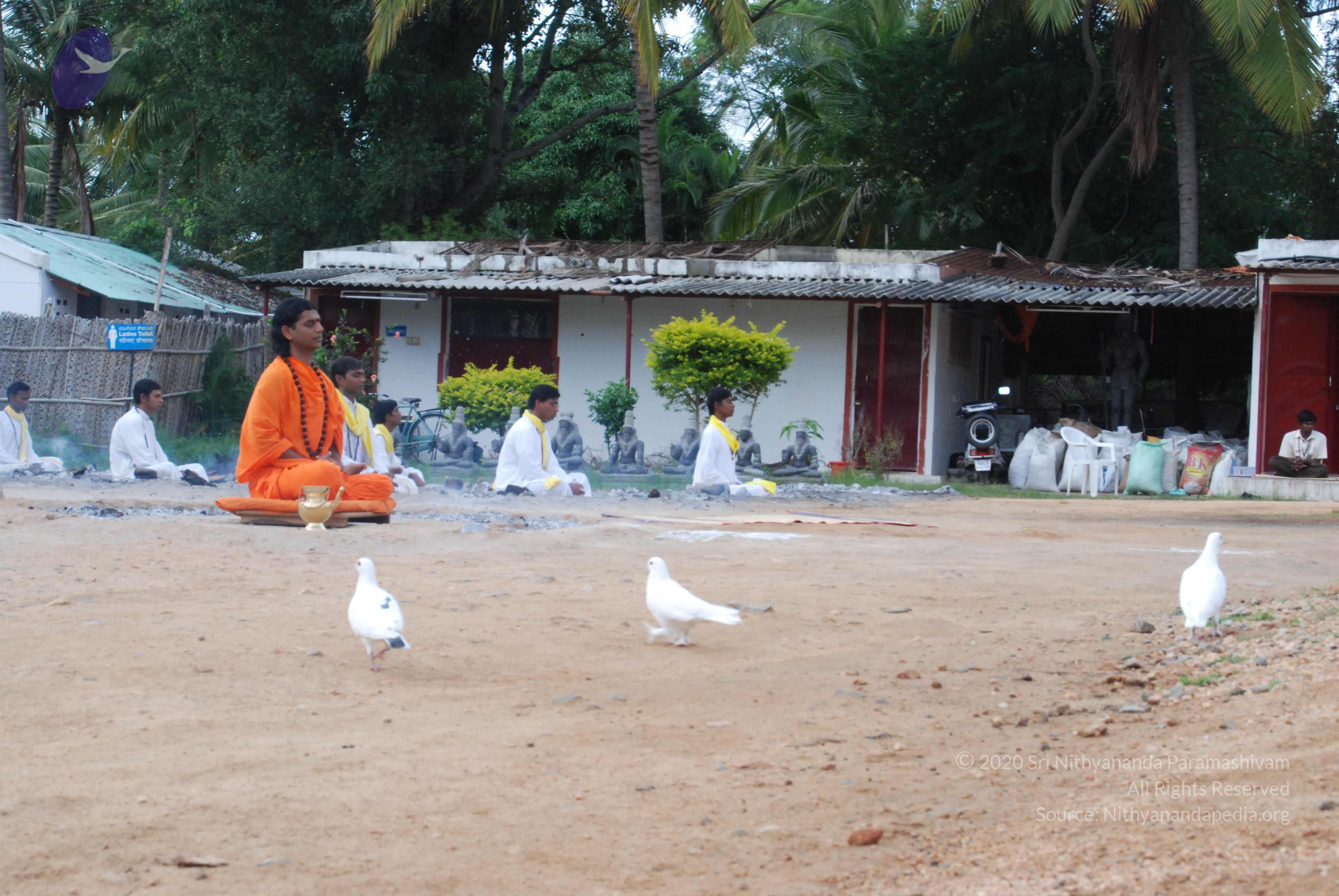 20170720_Photo_1082_DSC_4006_CMP_WM