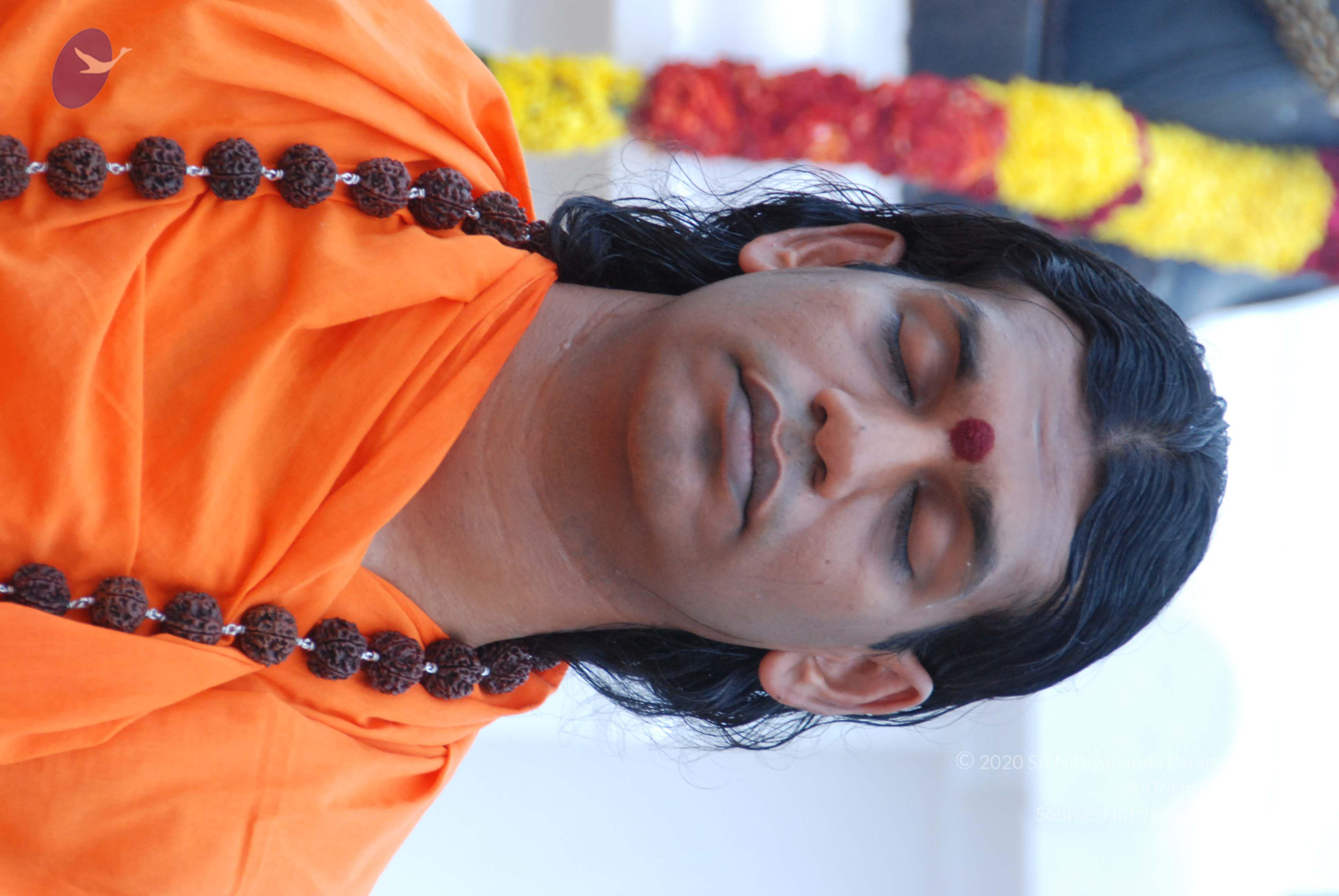 20170720_Photo_1084_DSC_3913_CMP_WM