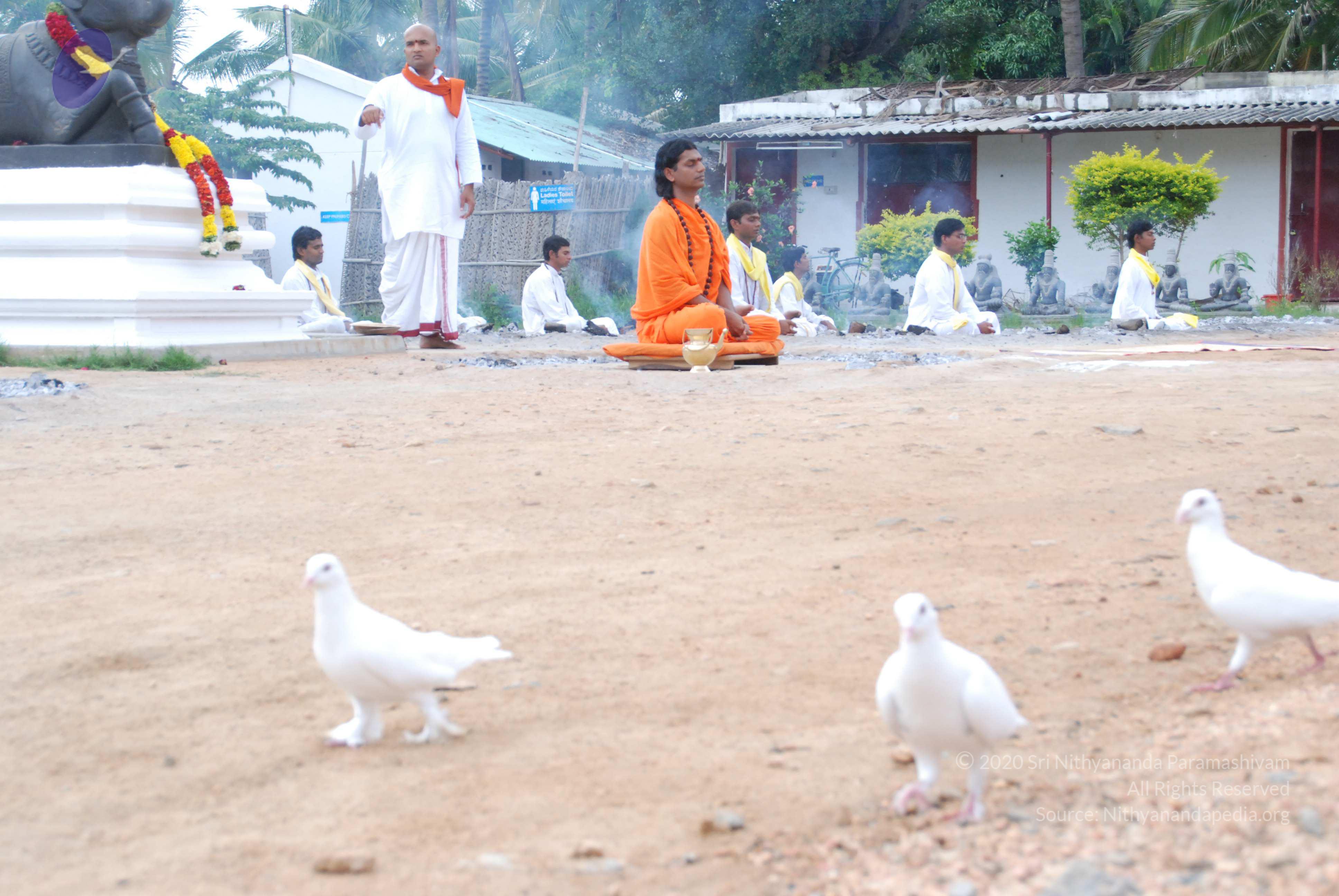 20170720_Photo_1092_DSC_3997_CMP_WM