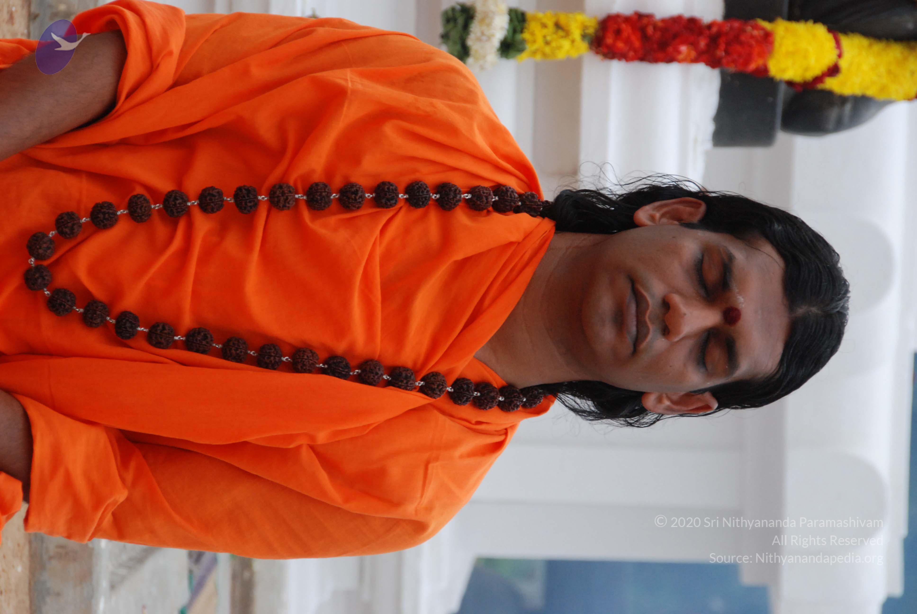 20170720_Photo_1094_DSC_3883_CMP_WM