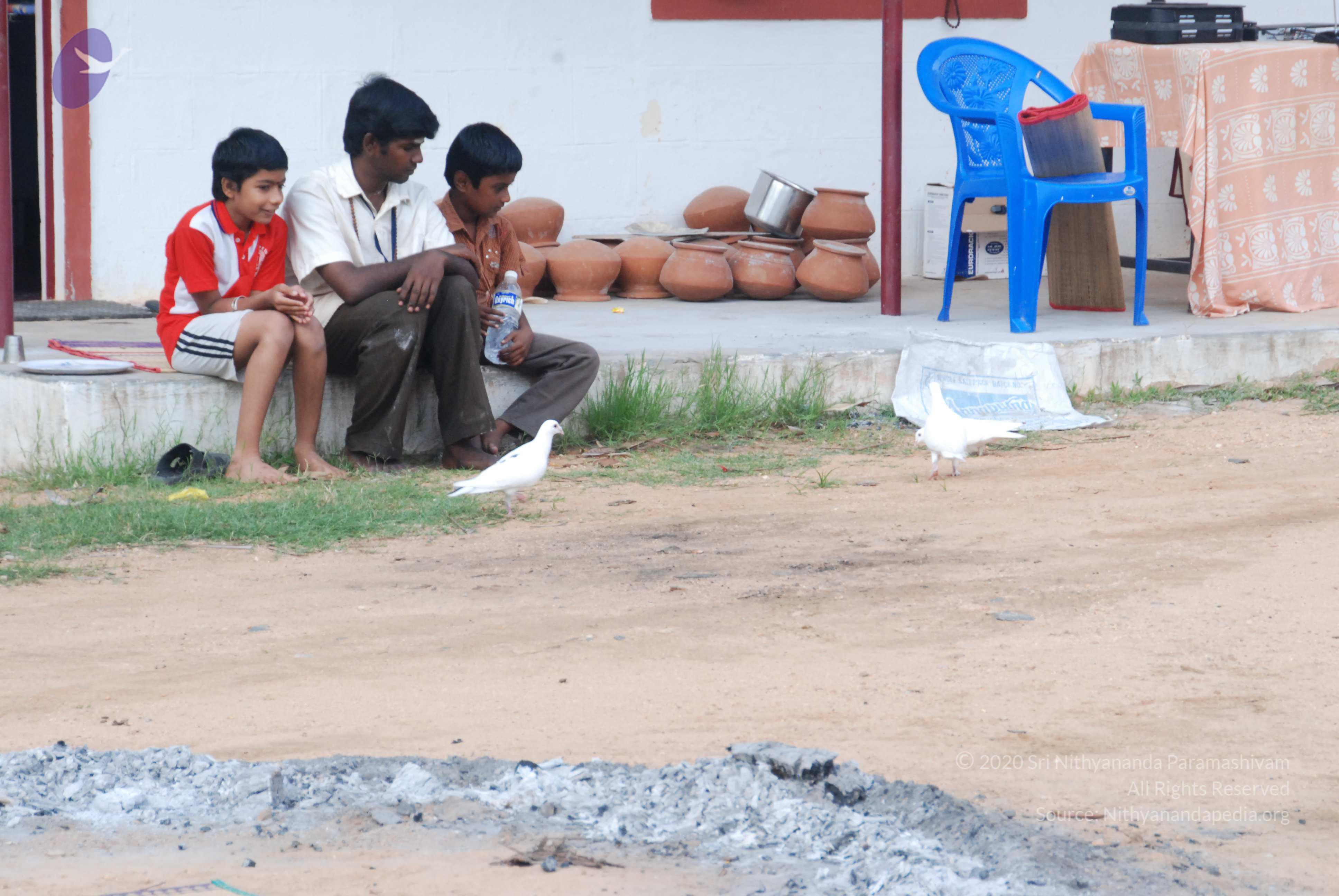 20170720_Photo_1095_DSC_4028_CMP_WM