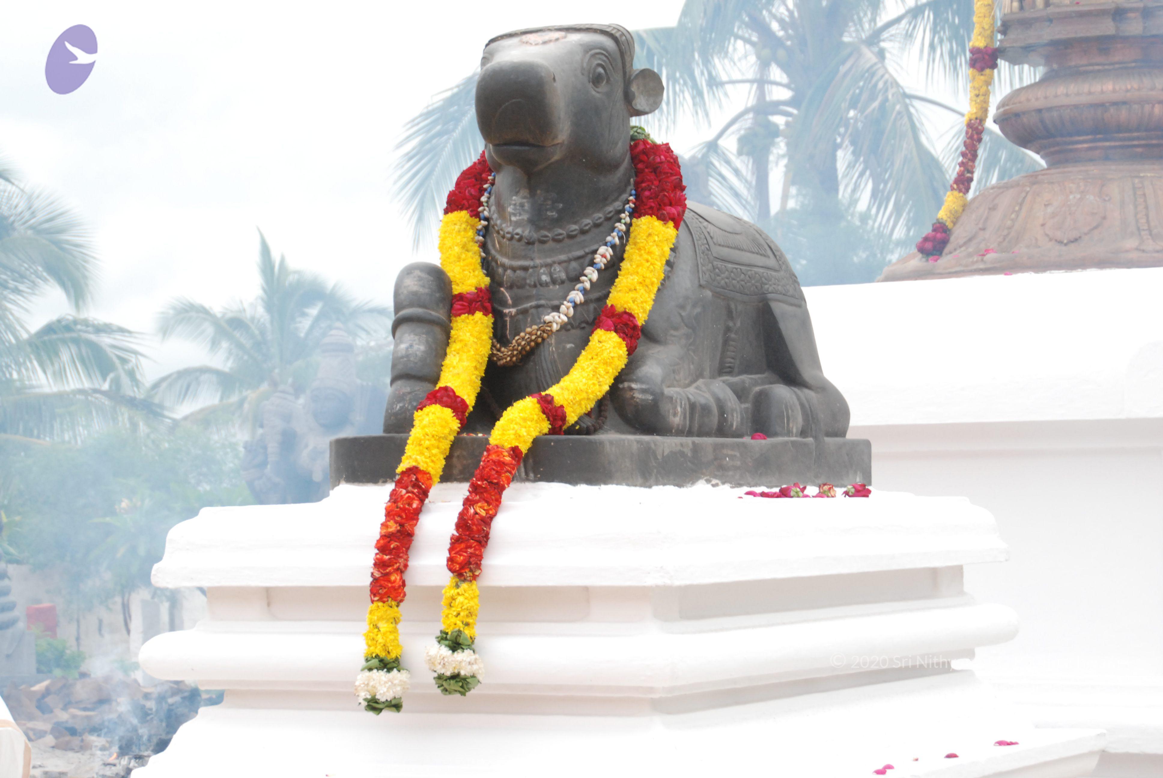 20170720_Photo_1097_DSC_3968_CMP_WM