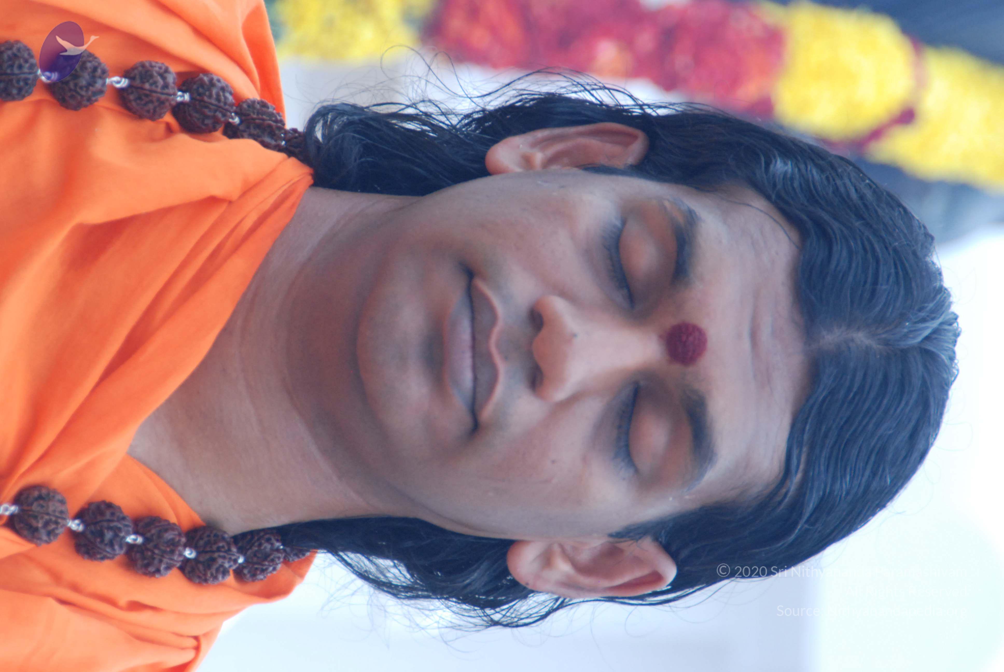 20170720_Photo_1098_DSC_3921_CMP_WM