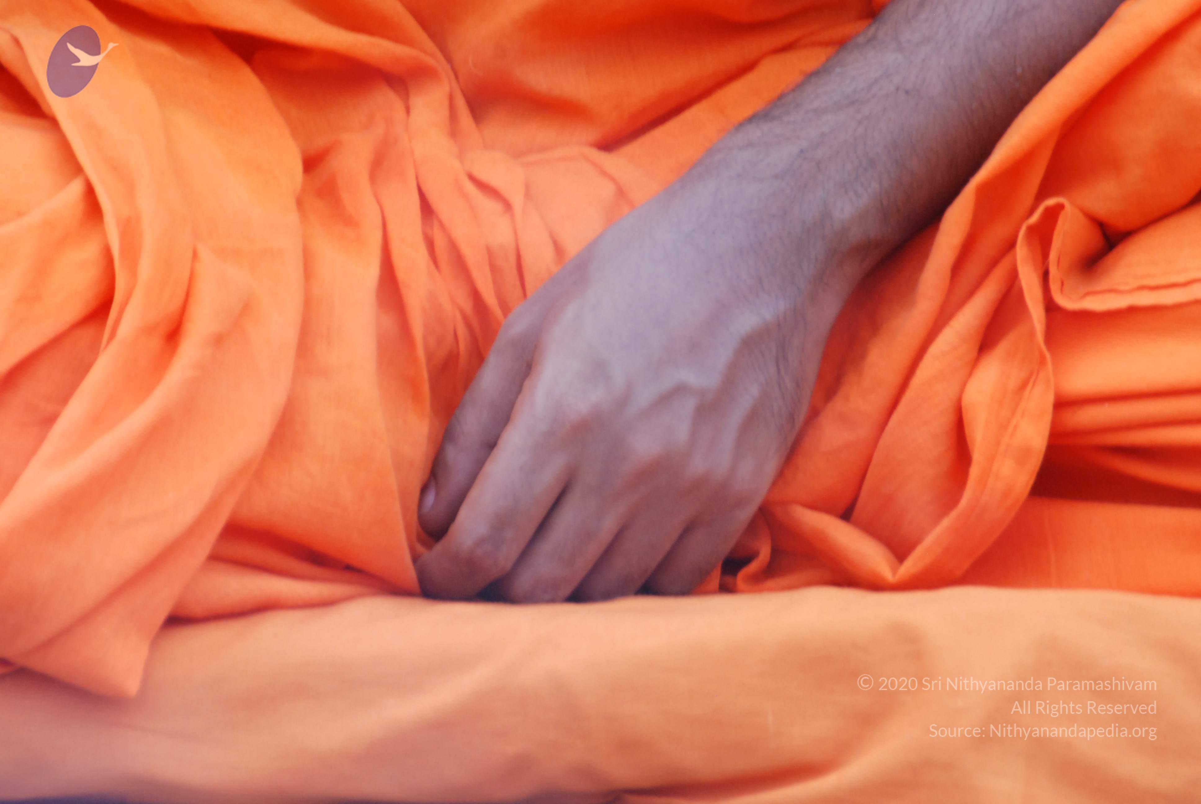 20170720_Photo_1099_DSC_3916_CMP_WM