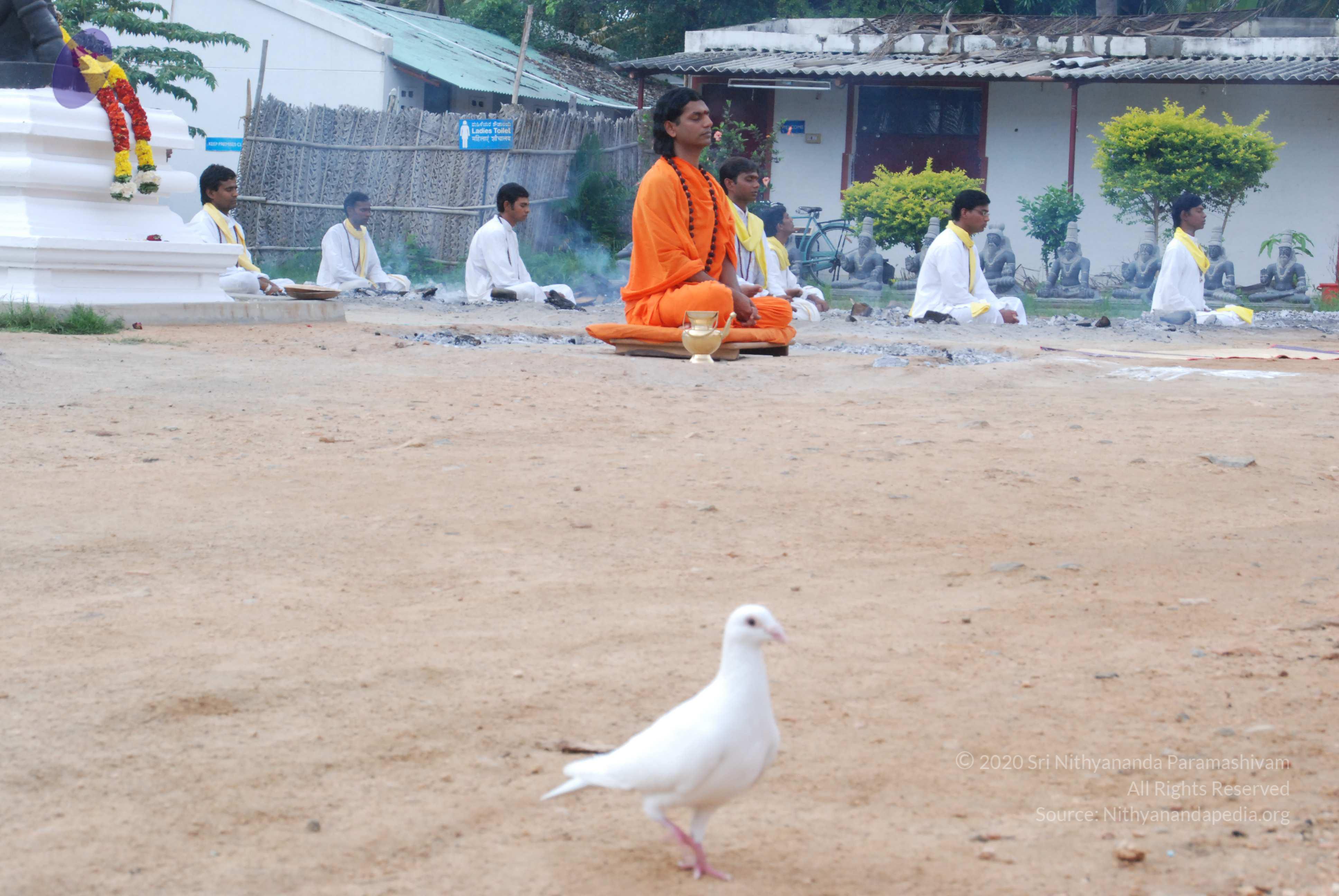 20170720_Photo_1100_DSC_4003_CMP_WM