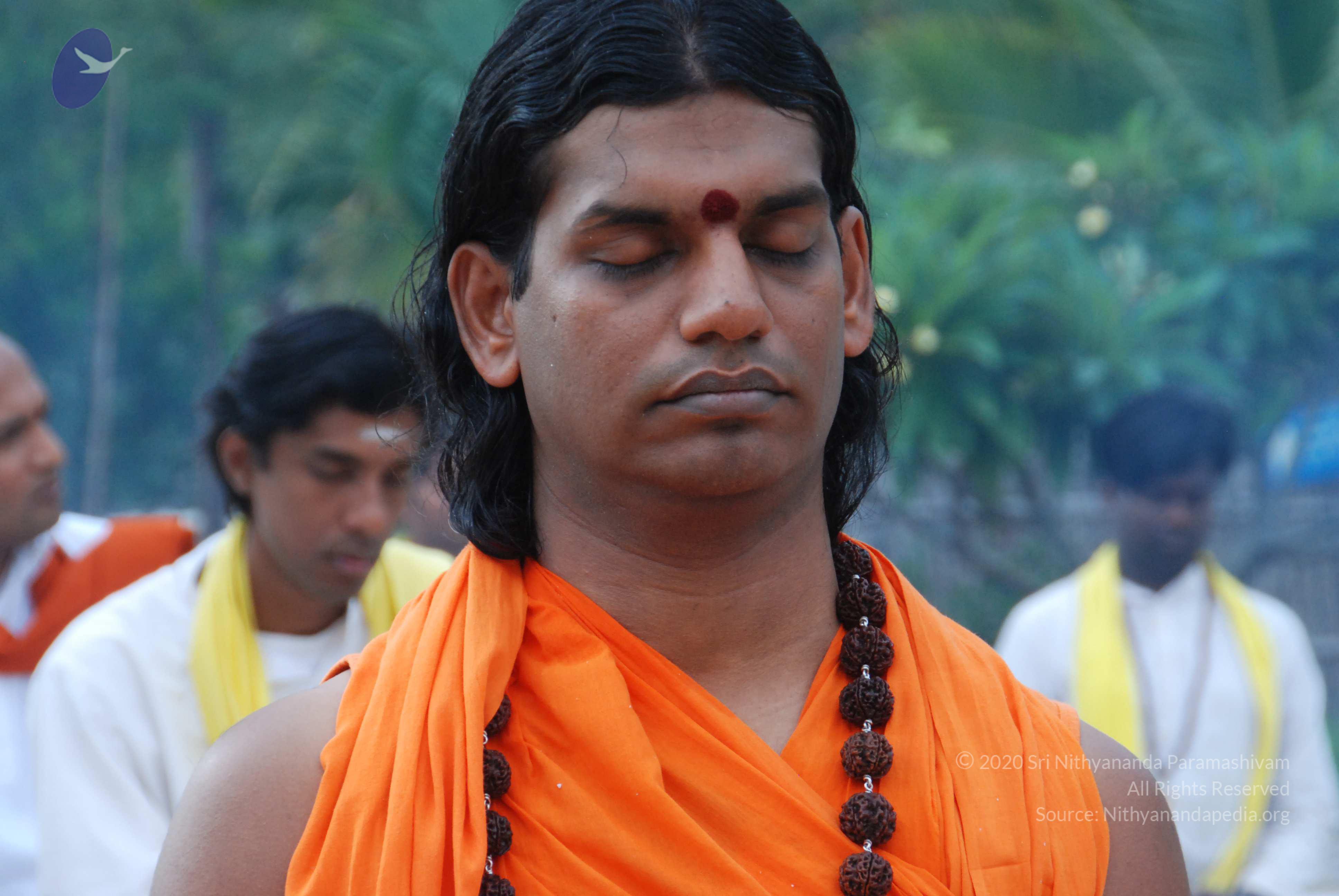 20170720_Photo_1105_DSC_4061_CMP_WM