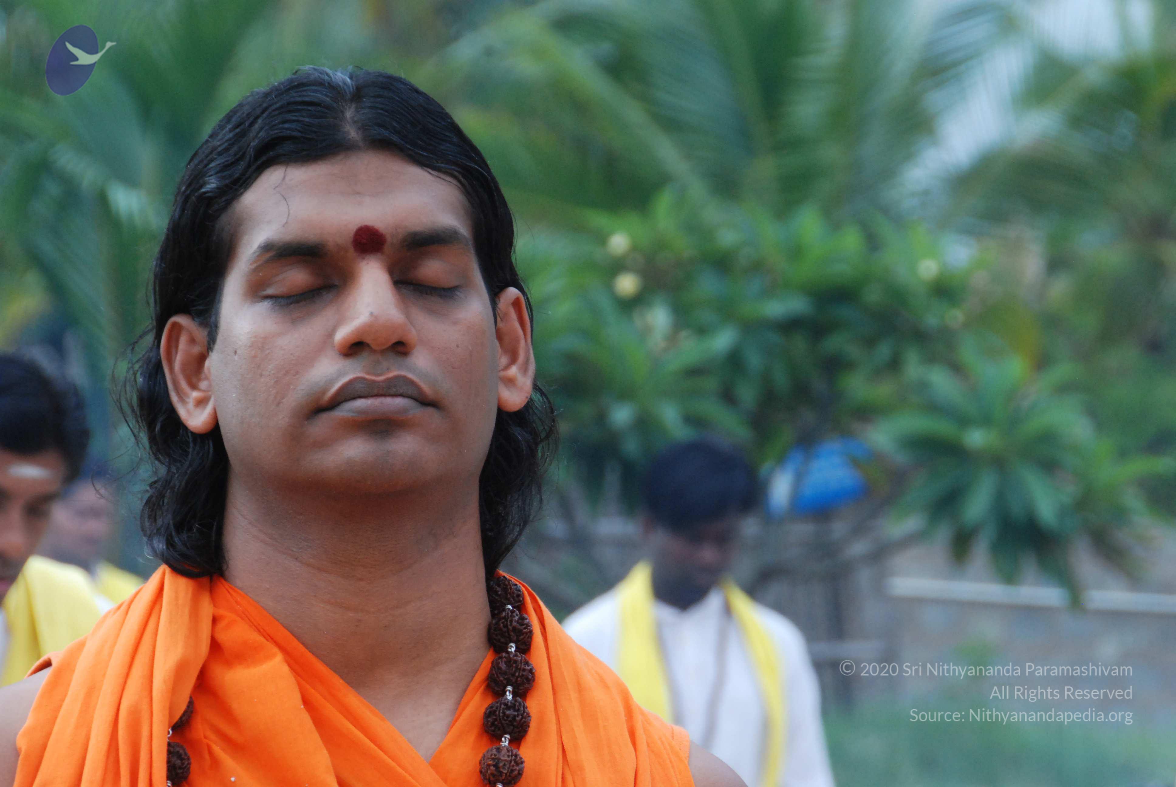 20170720_Photo_1110_DSC_4070_CMP_WM