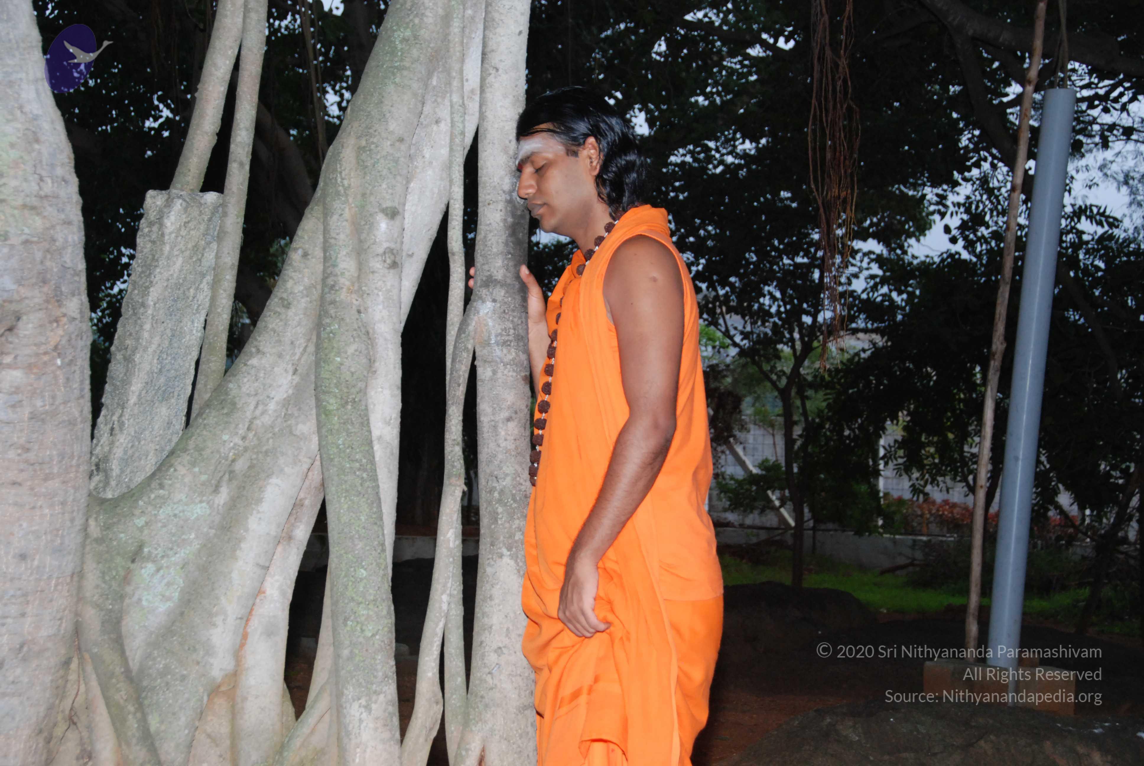 20170720_Photo_1112_DSC_3813_CMP_WM