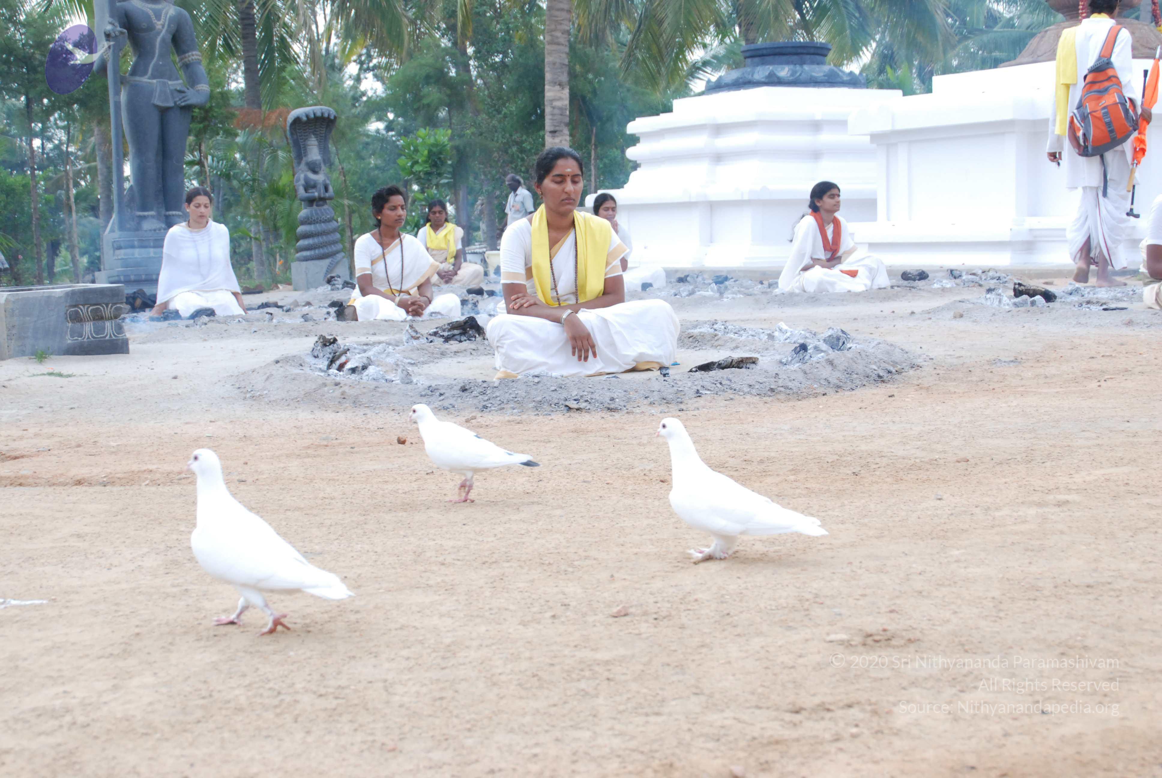 20170720_Photo_1124_DSC_4000_CMP_WM