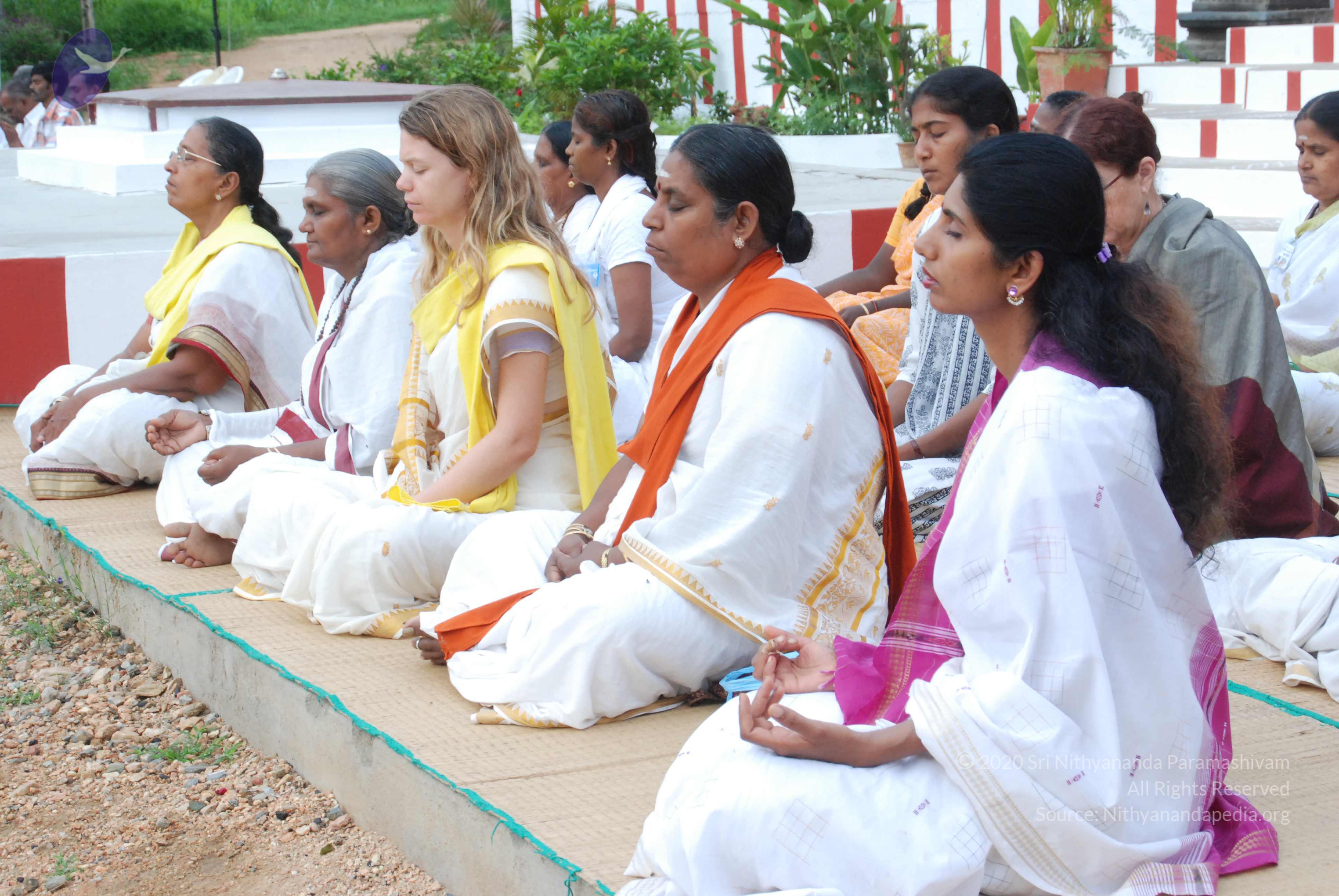 20170720_Photo_1125_DSC_3977_CMP_WM