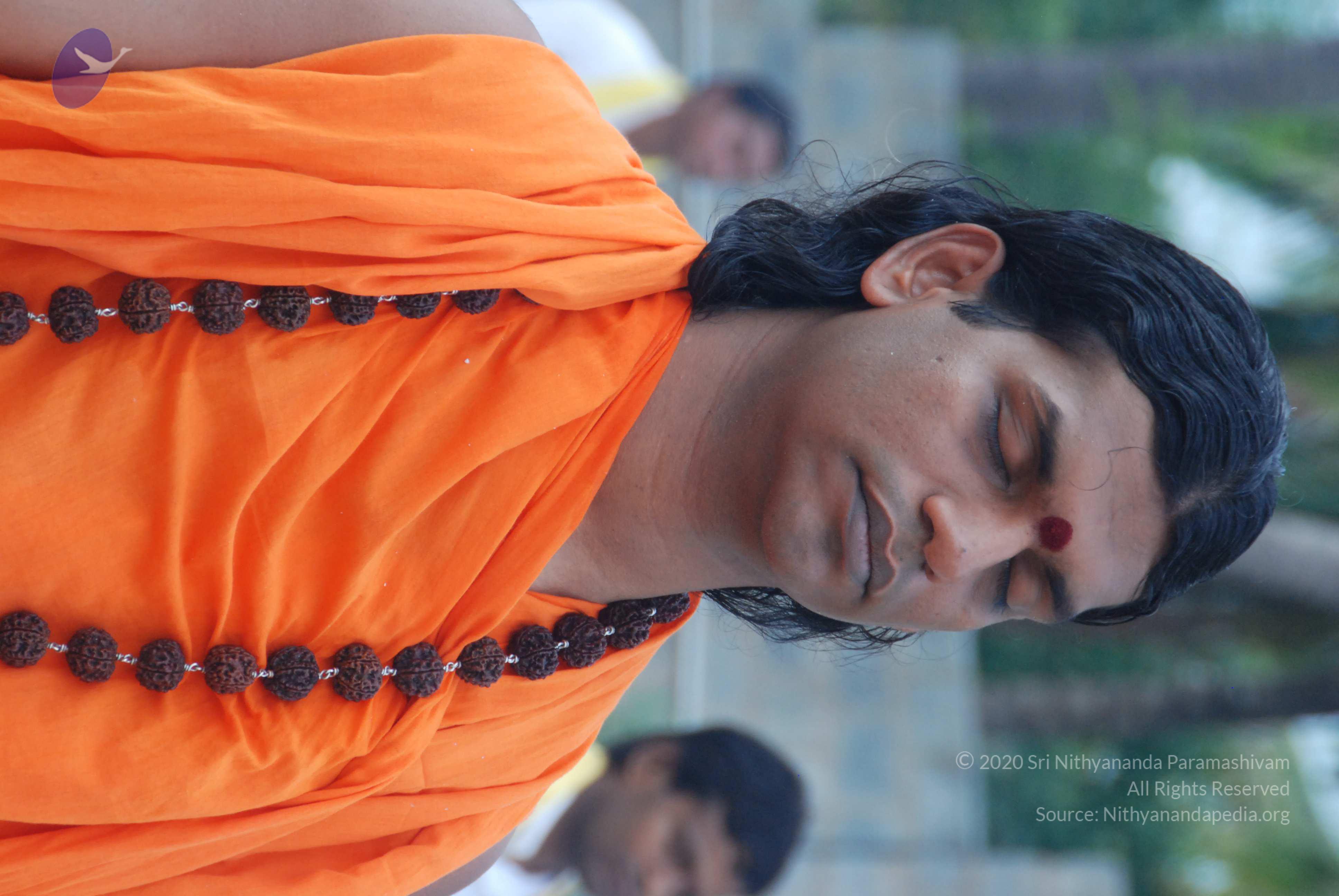 20170720_Photo_1127_DSC_4055_CMP_WM