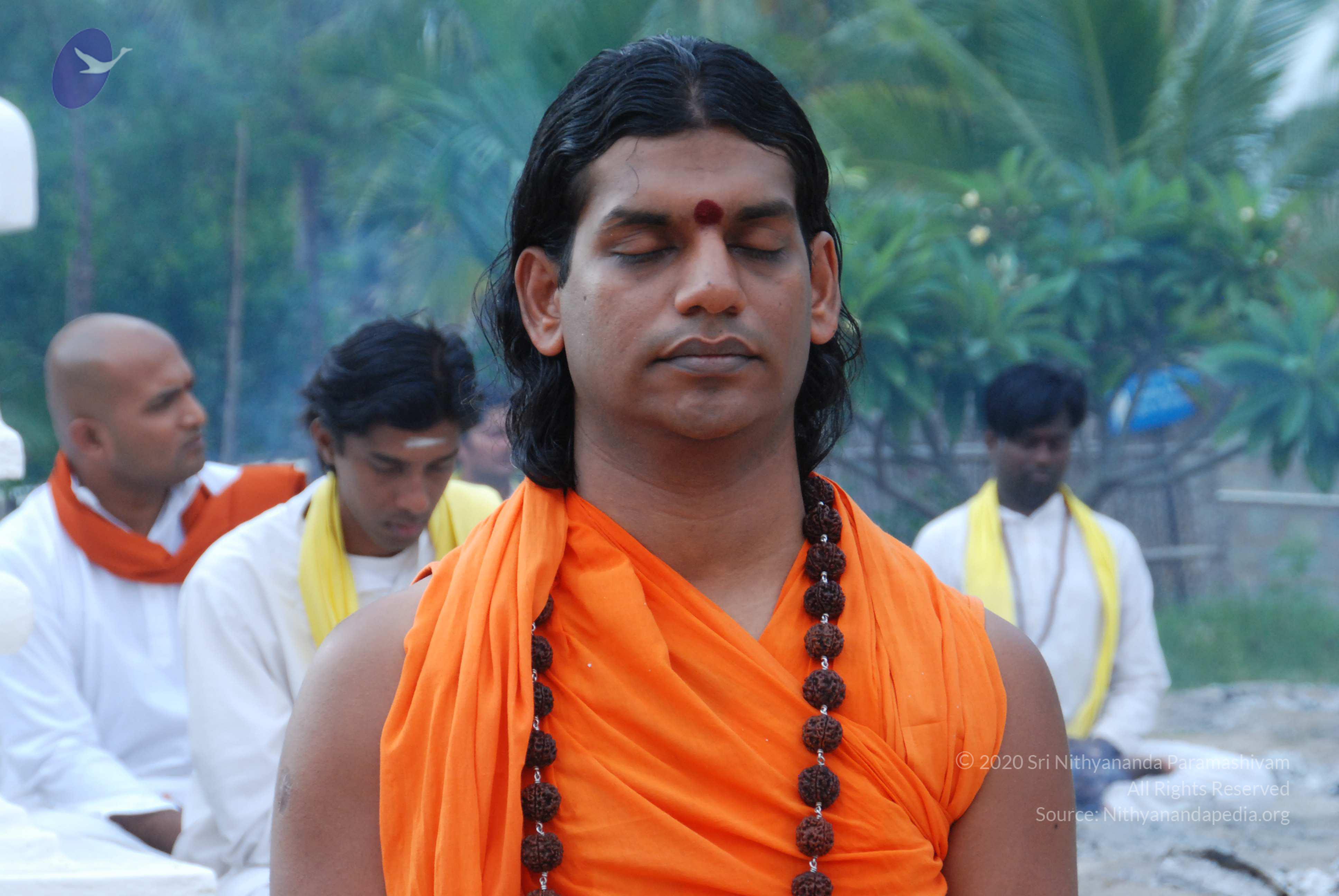 20170720_Photo_1130_DSC_4062_CMP_WM