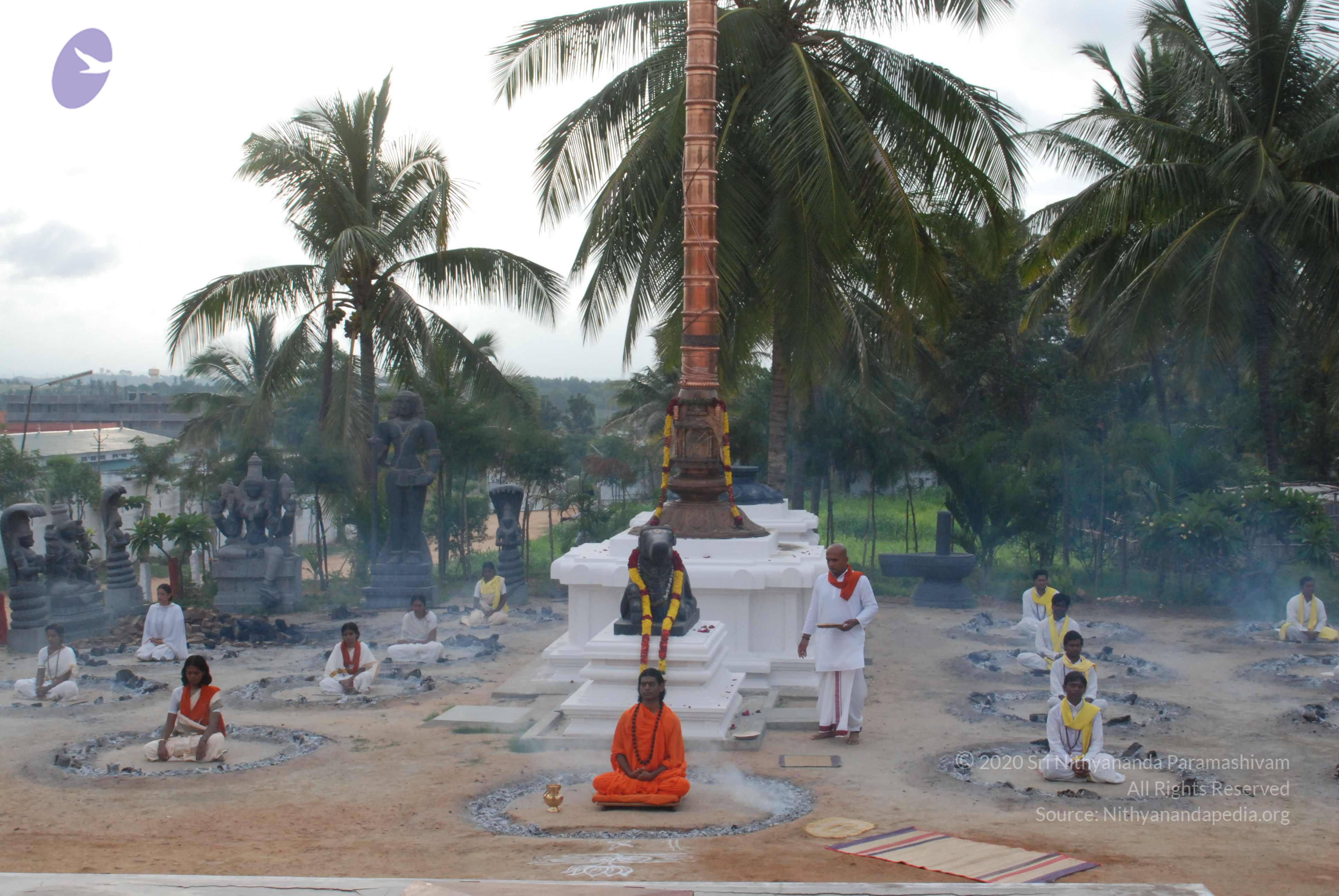 20170720_Photo_1131_DSC_3988_CMP_WM