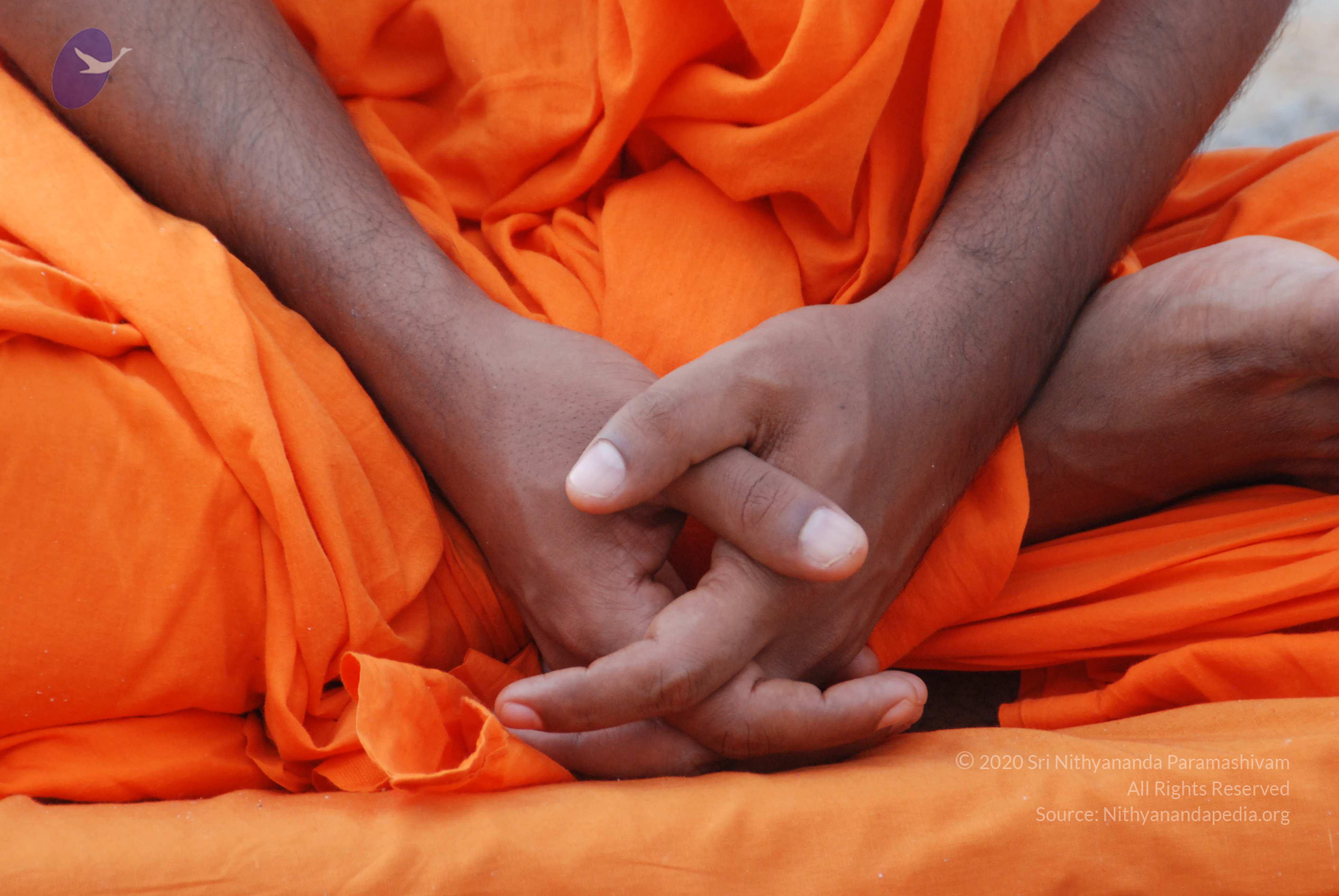 20170720_Photo_1138_DSC_4058_CMP_WM