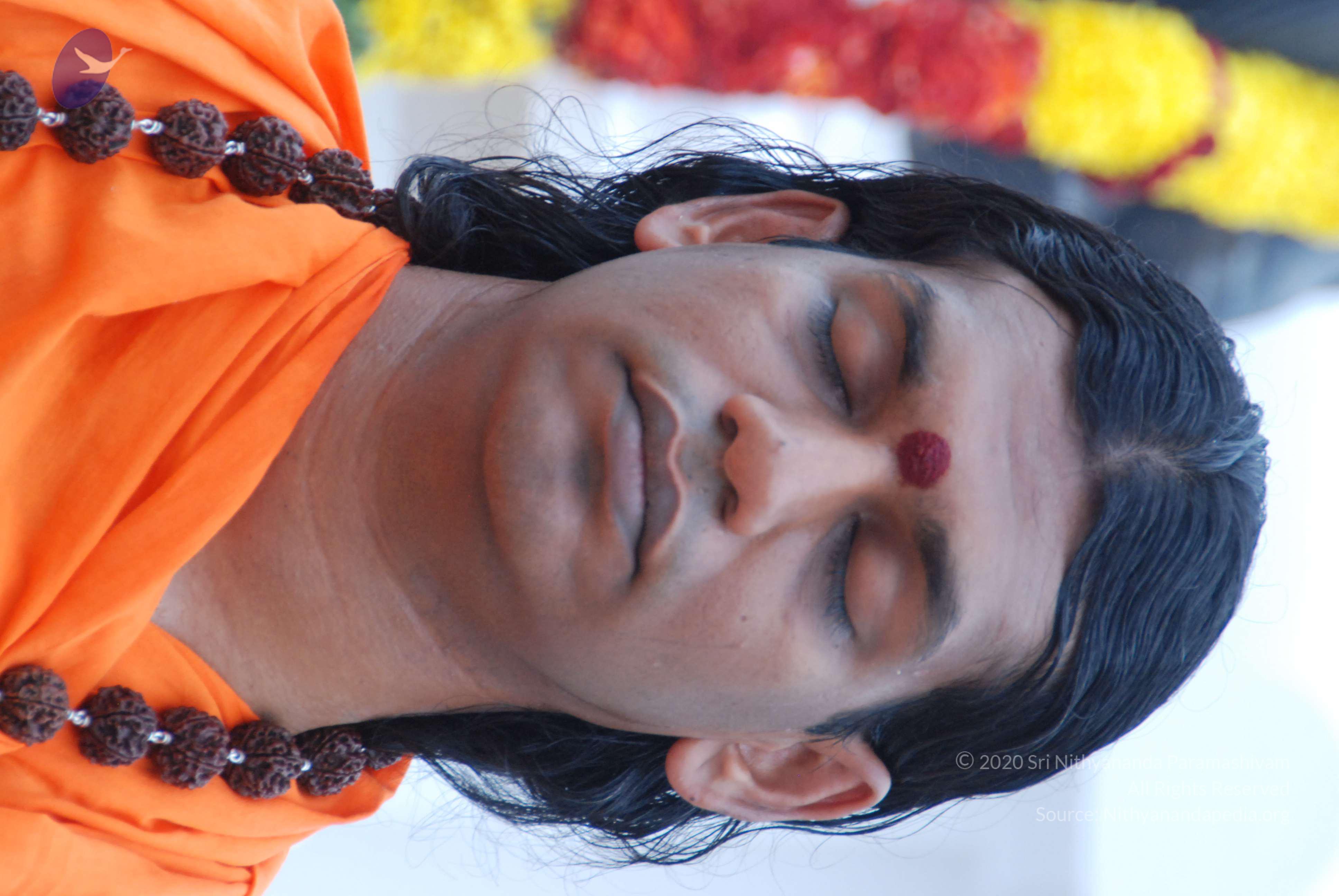 20170720_Photo_1140_DSC_3918_CMP_WM