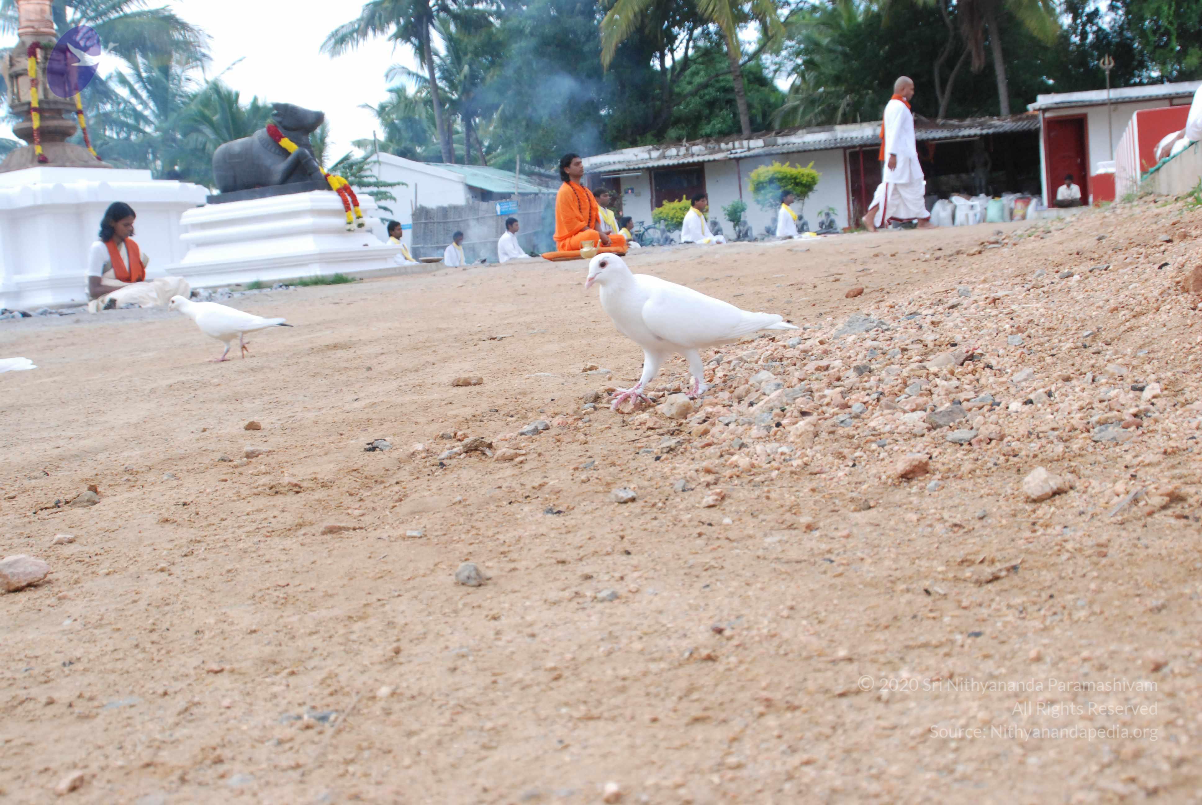 20170720_Photo_1141_DSC_3999_CMP_WM