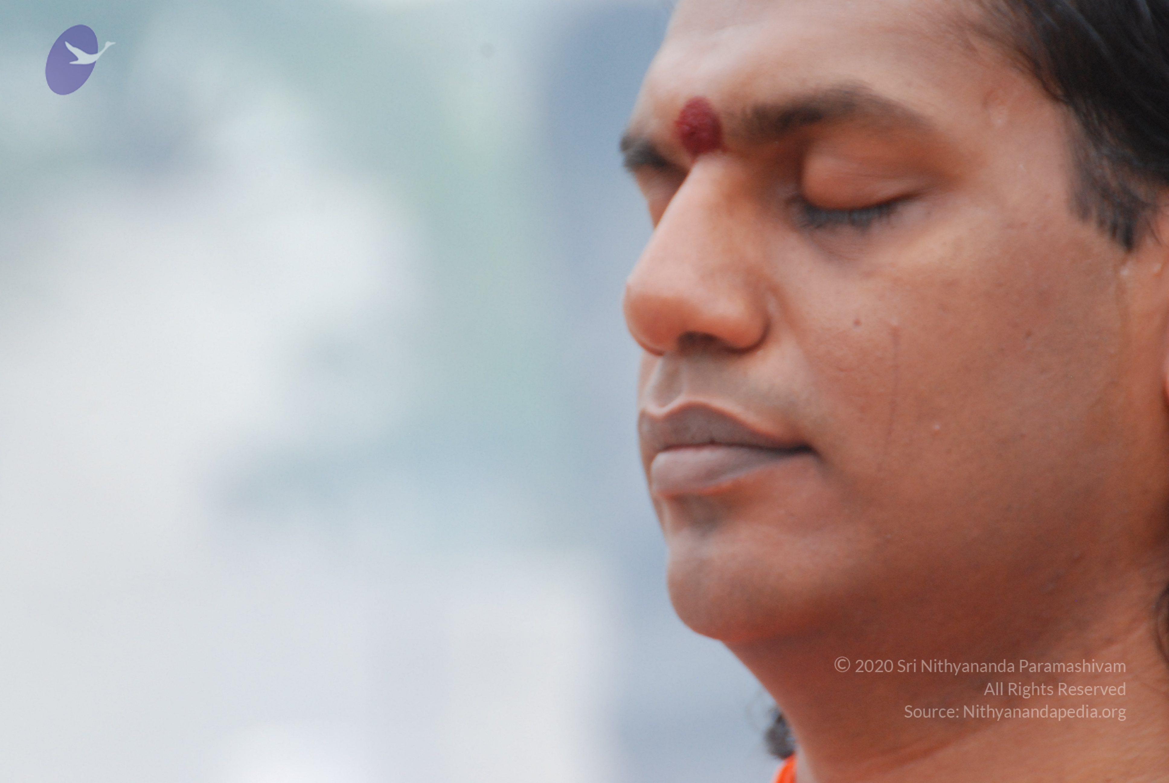 20170720_Photo_1146_DSC_3951_CMP_WM