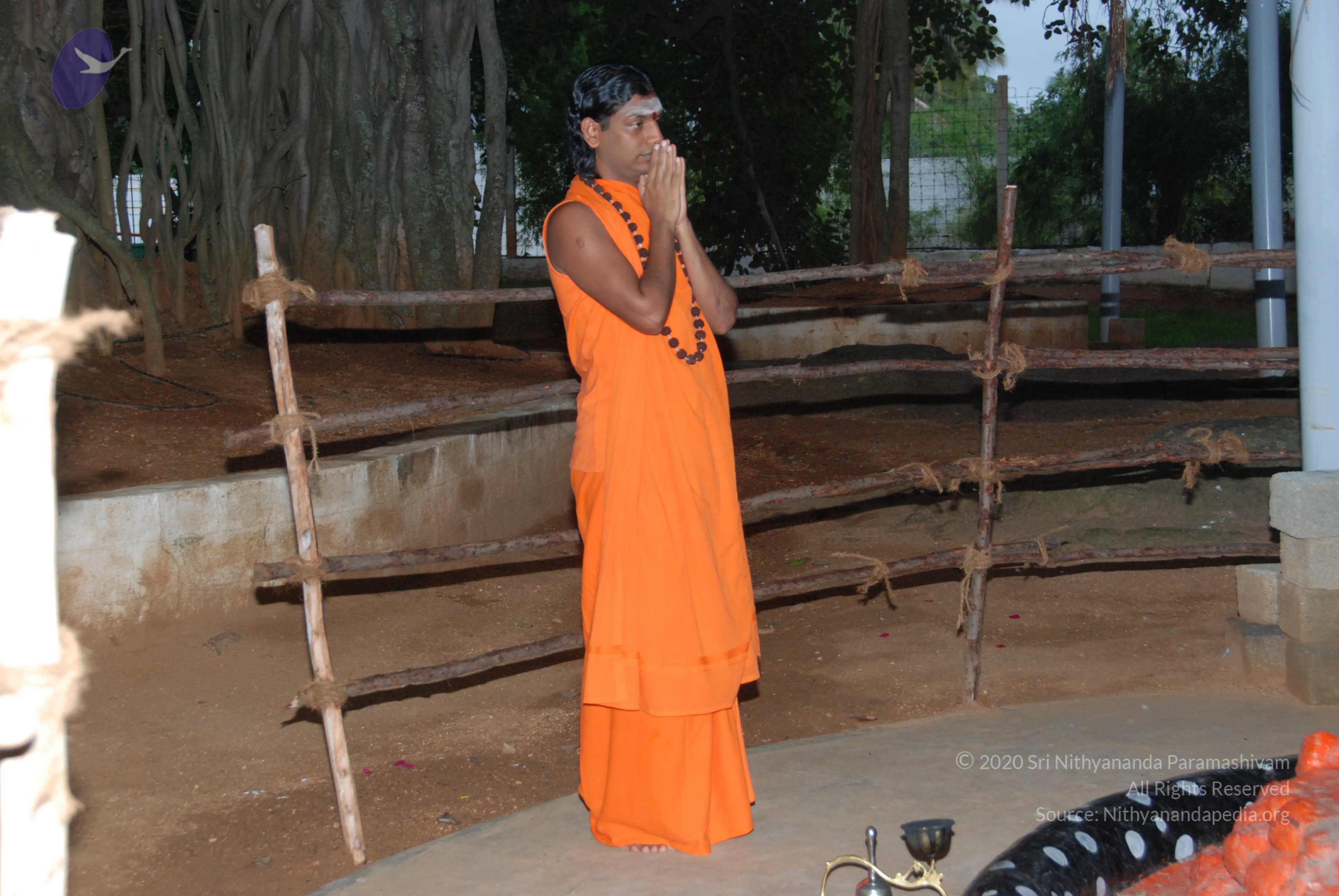 20170720_Photo_1148_DSC_3810_CMP_WM