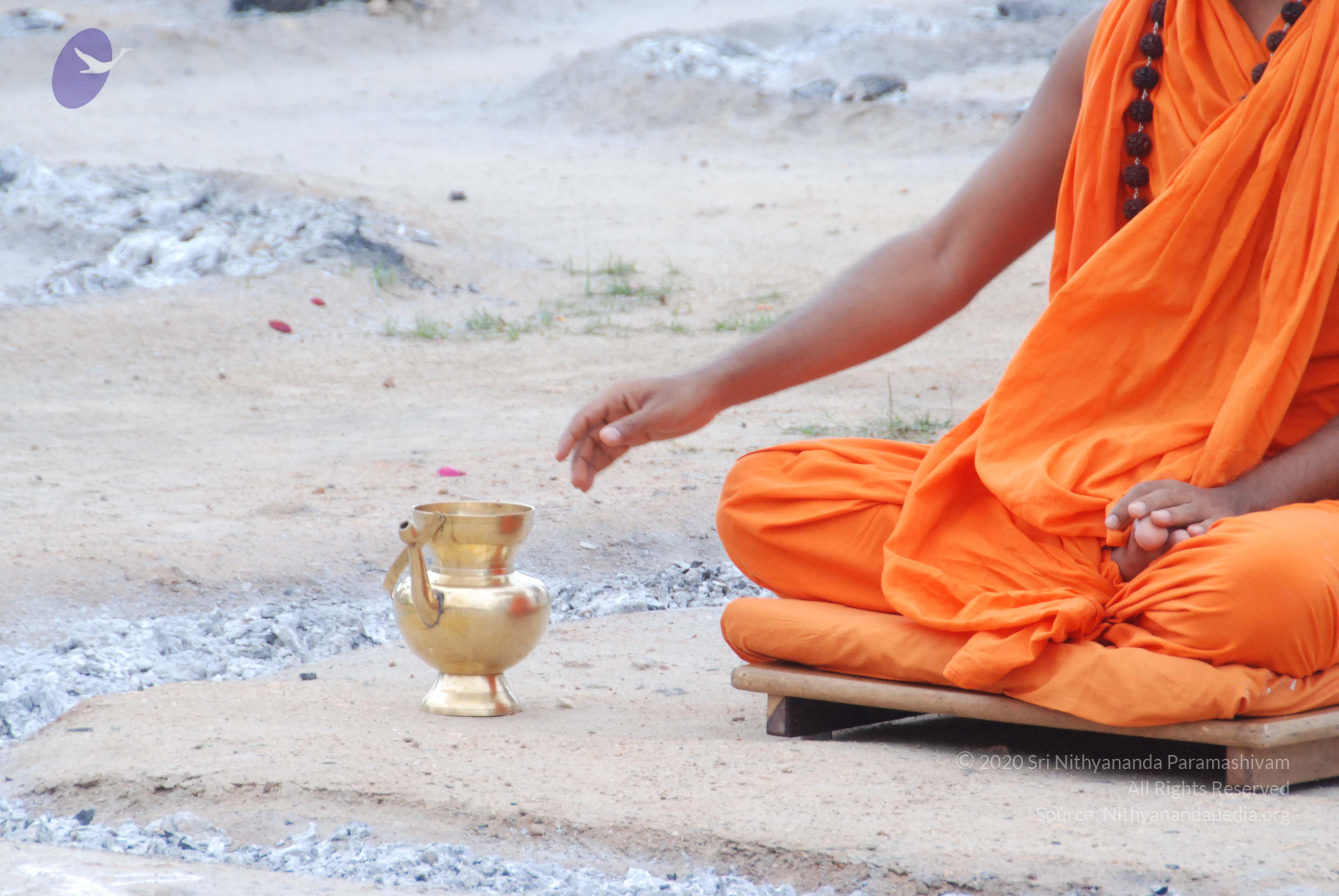 20170720_Photo_1151_DSC_4105_CMP_WM