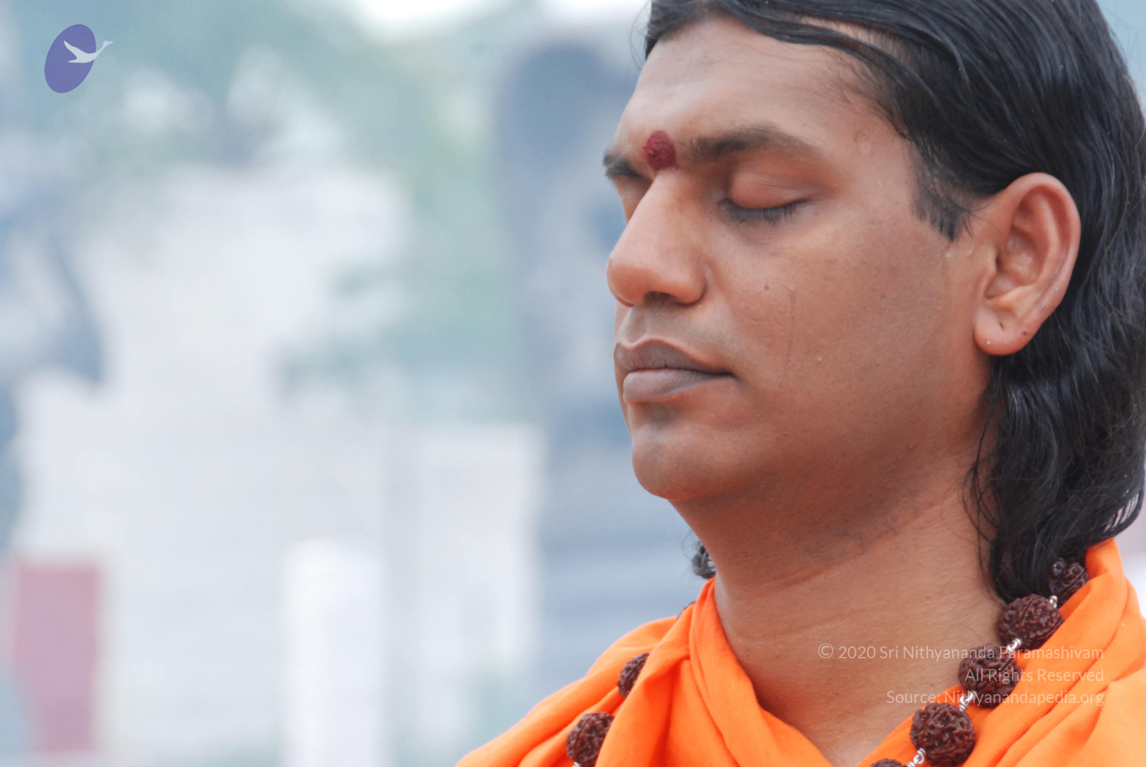 20170720_Photo_1153_DSC_3948_CMP_WM