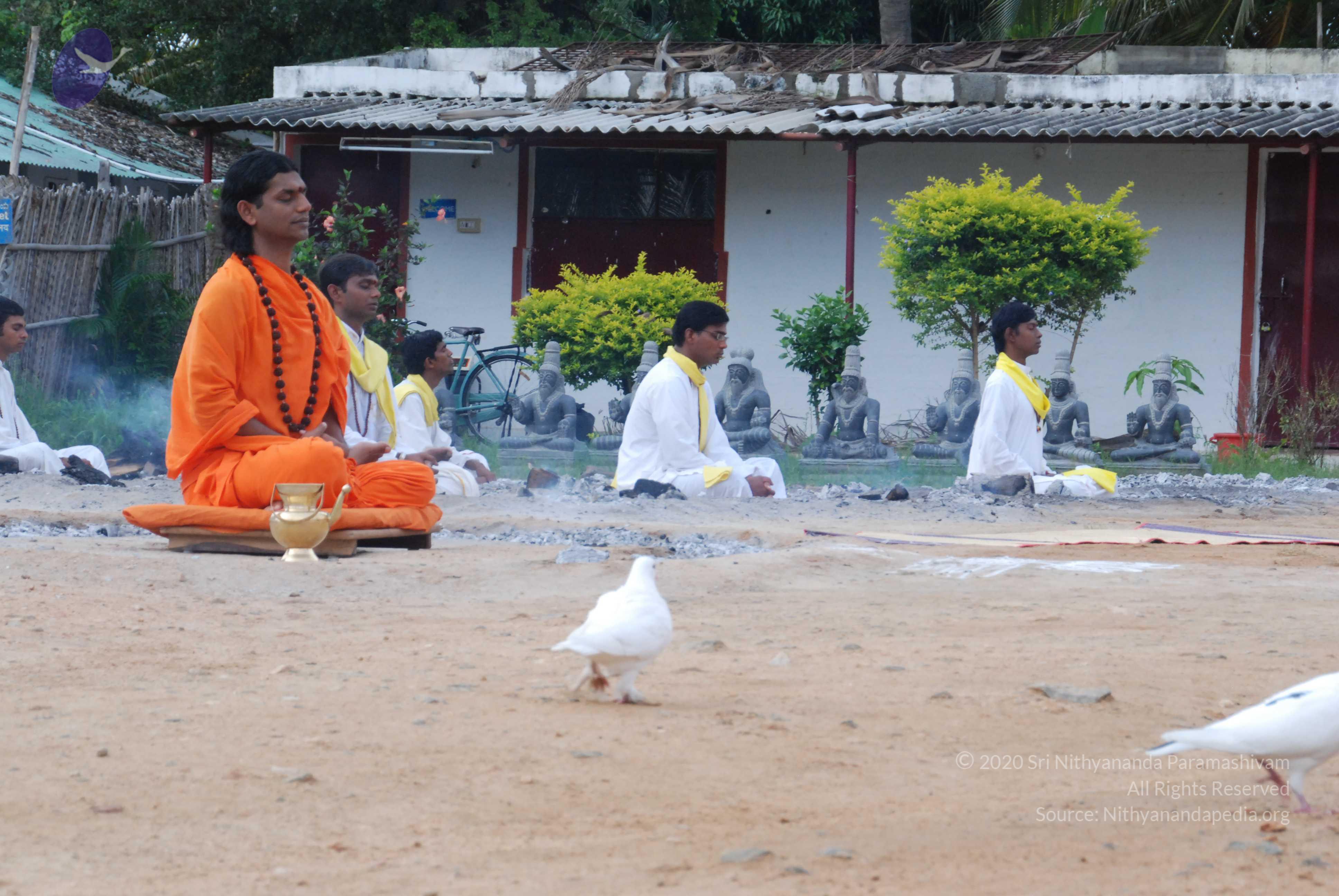 20170720_Photo_1154_DSC_4008_CMP_WM